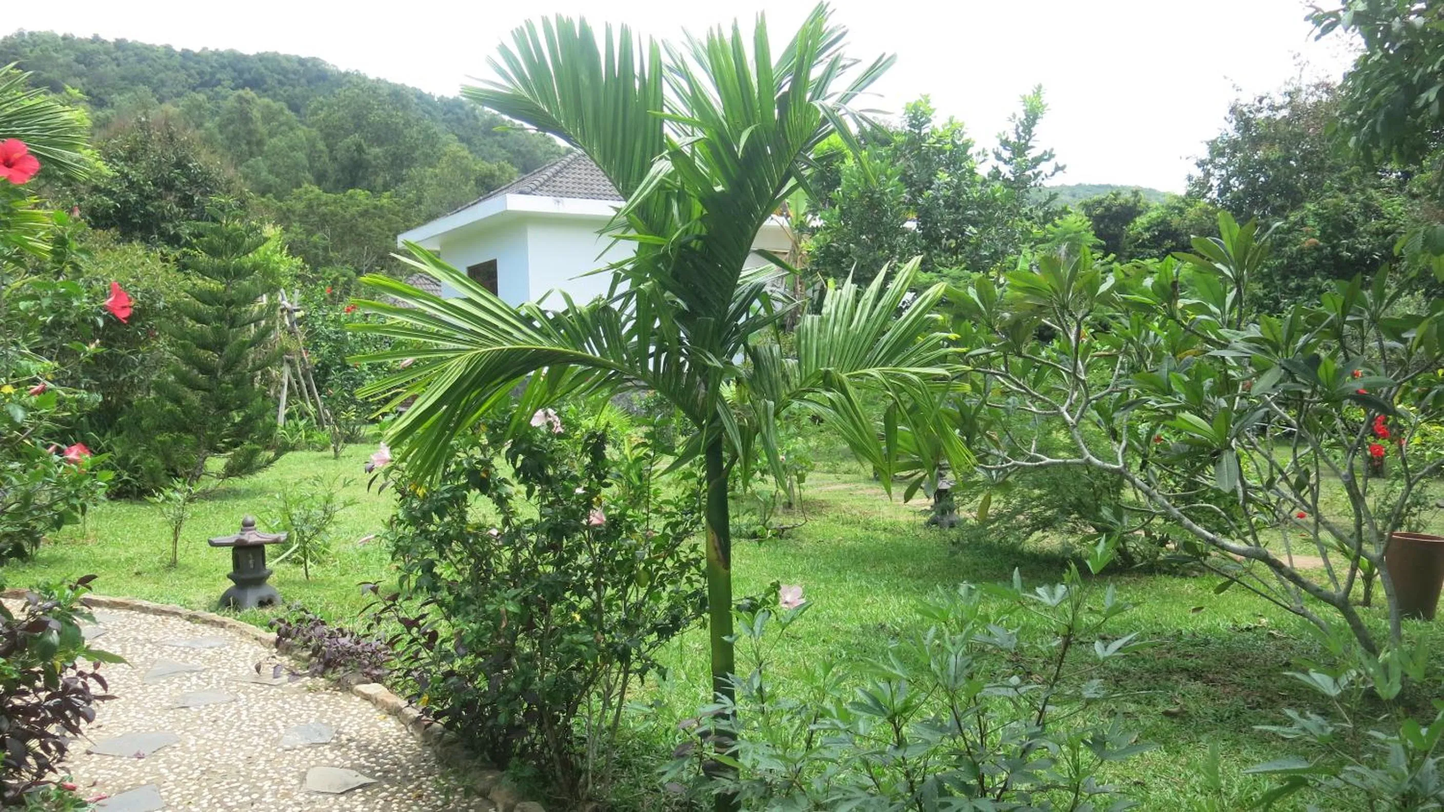 Garden in Phu Quoc Private Villa