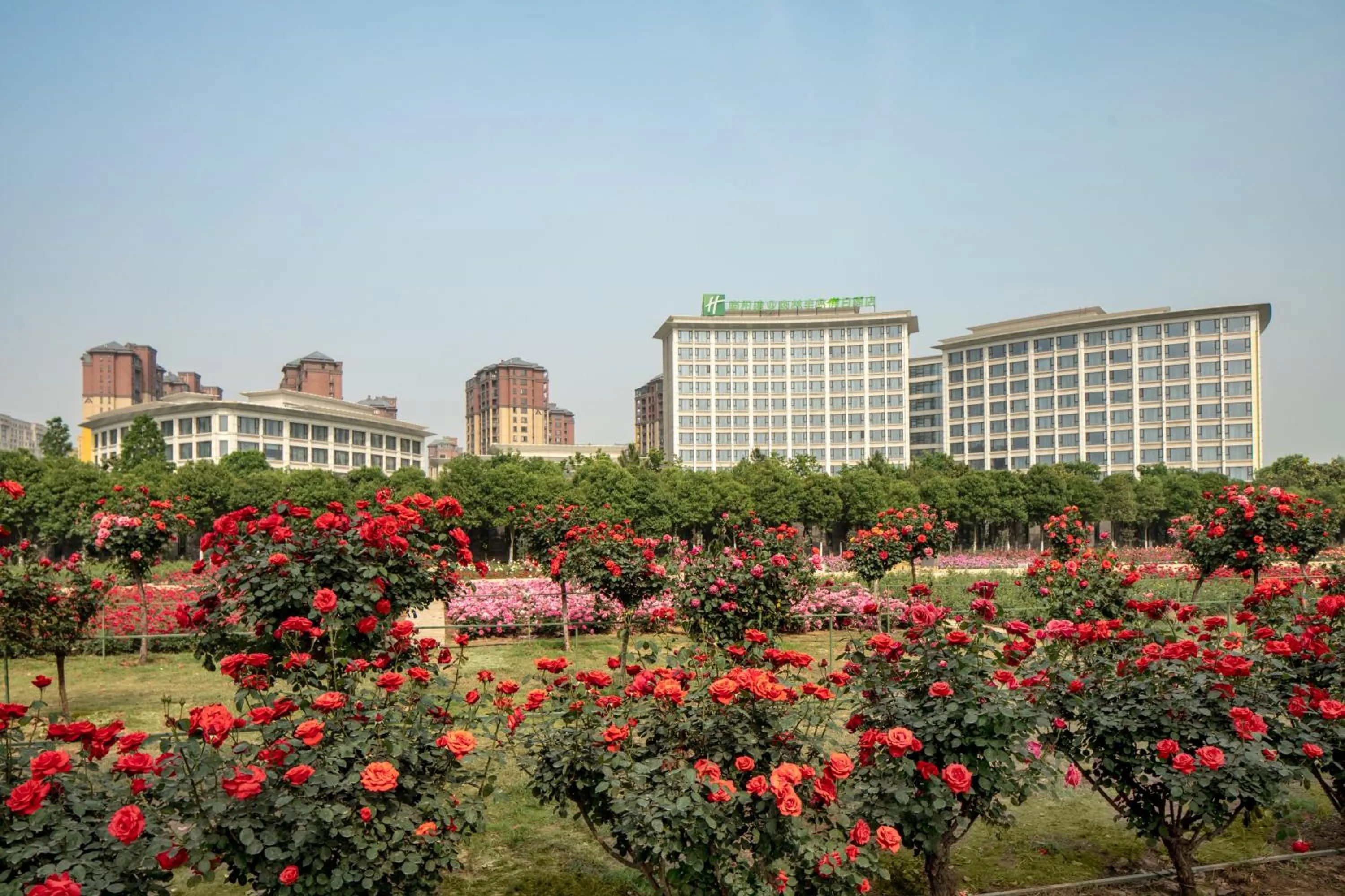 Area and facilities in Holiday Inn Nanyang by IHG
