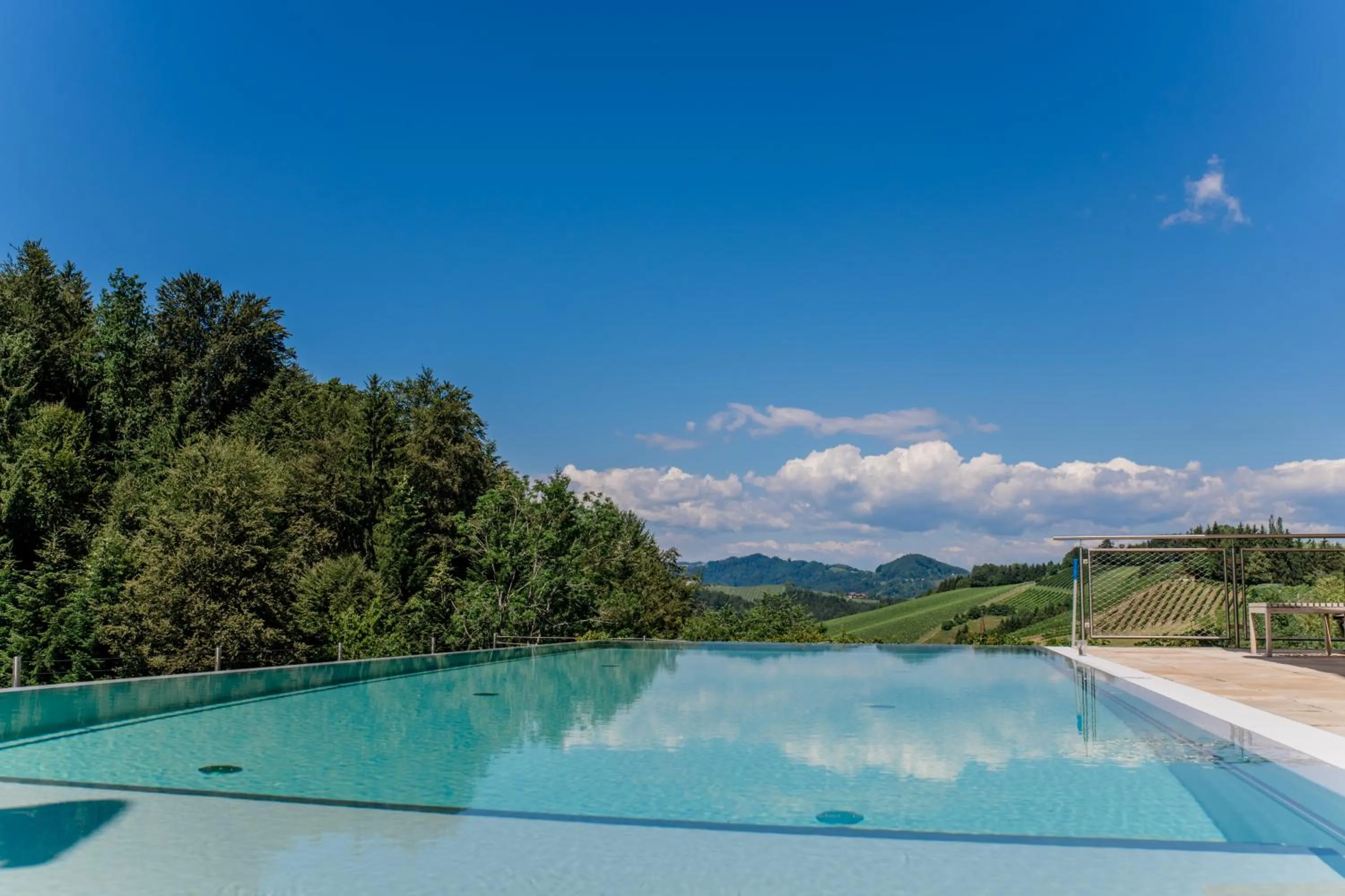 Swimming pool in Landgut am Pößnitzberg
