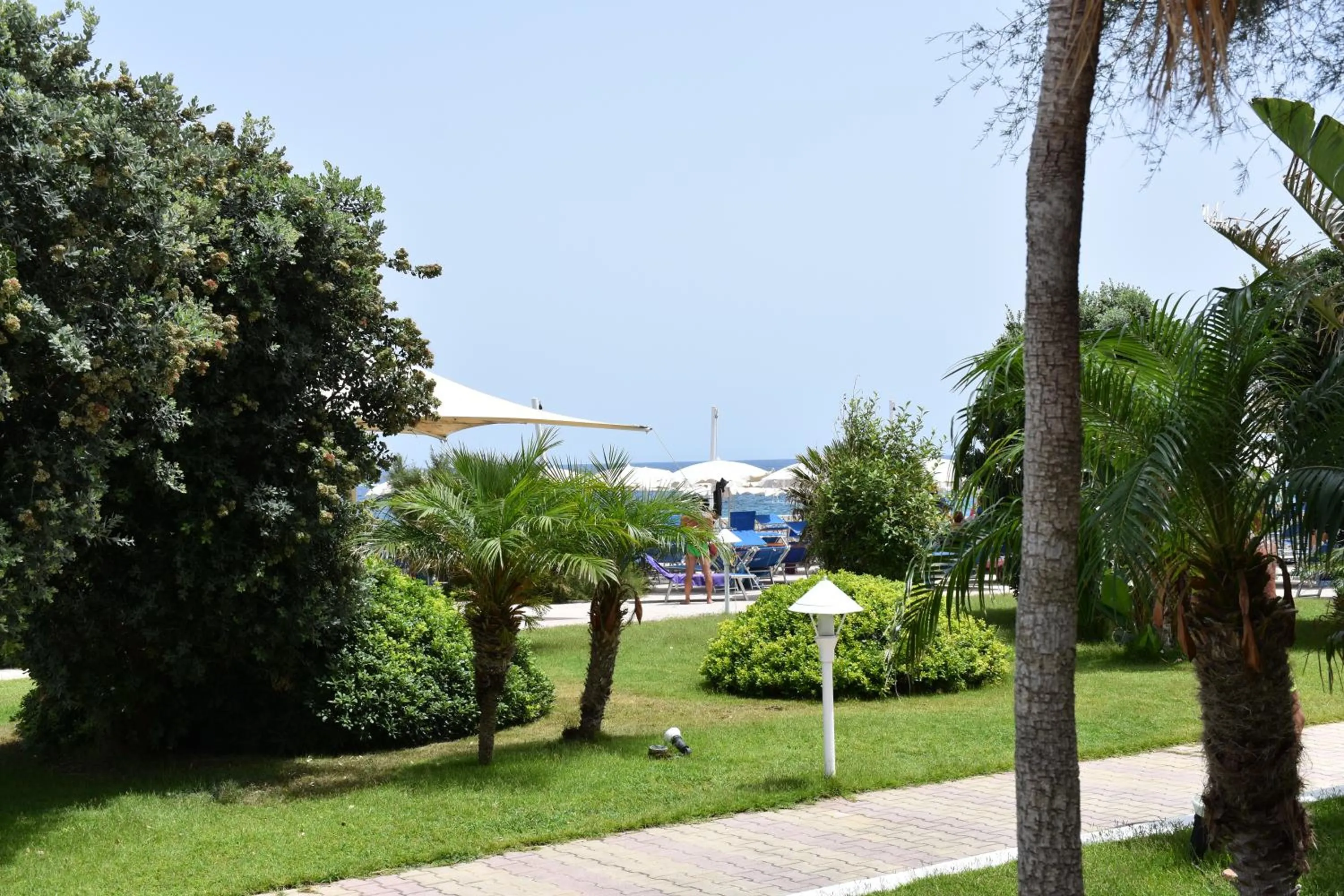 Garden view in La Marsa Vacances