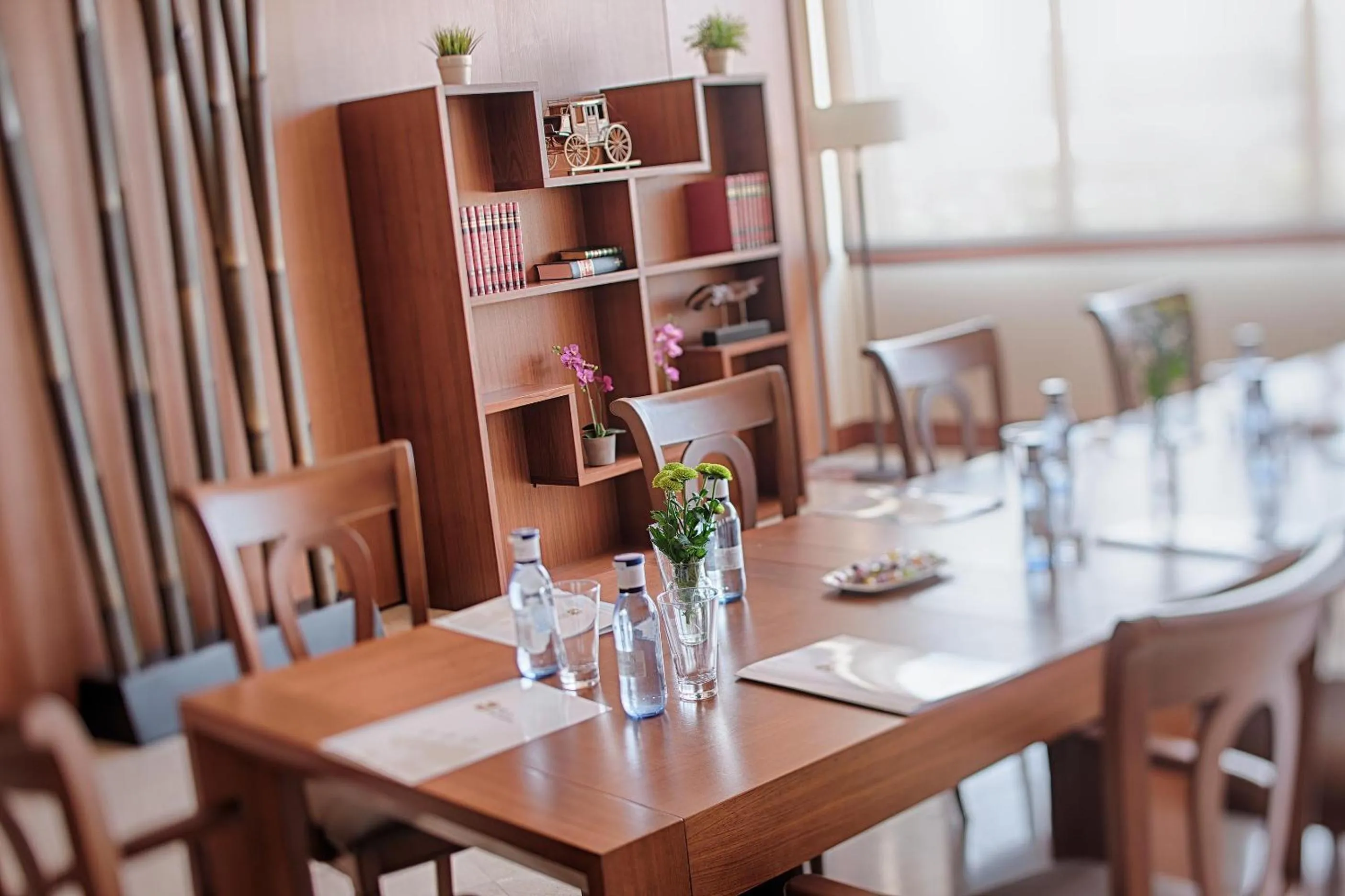 Business facilities in Hotel Zalle Don Fernando