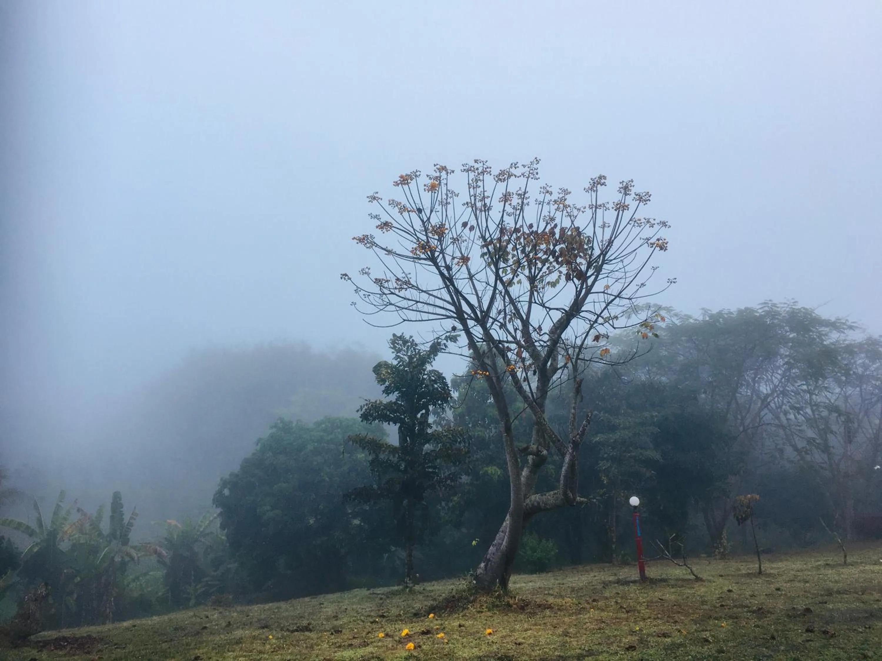 The Natural Yurt Resort @ Khao Kho