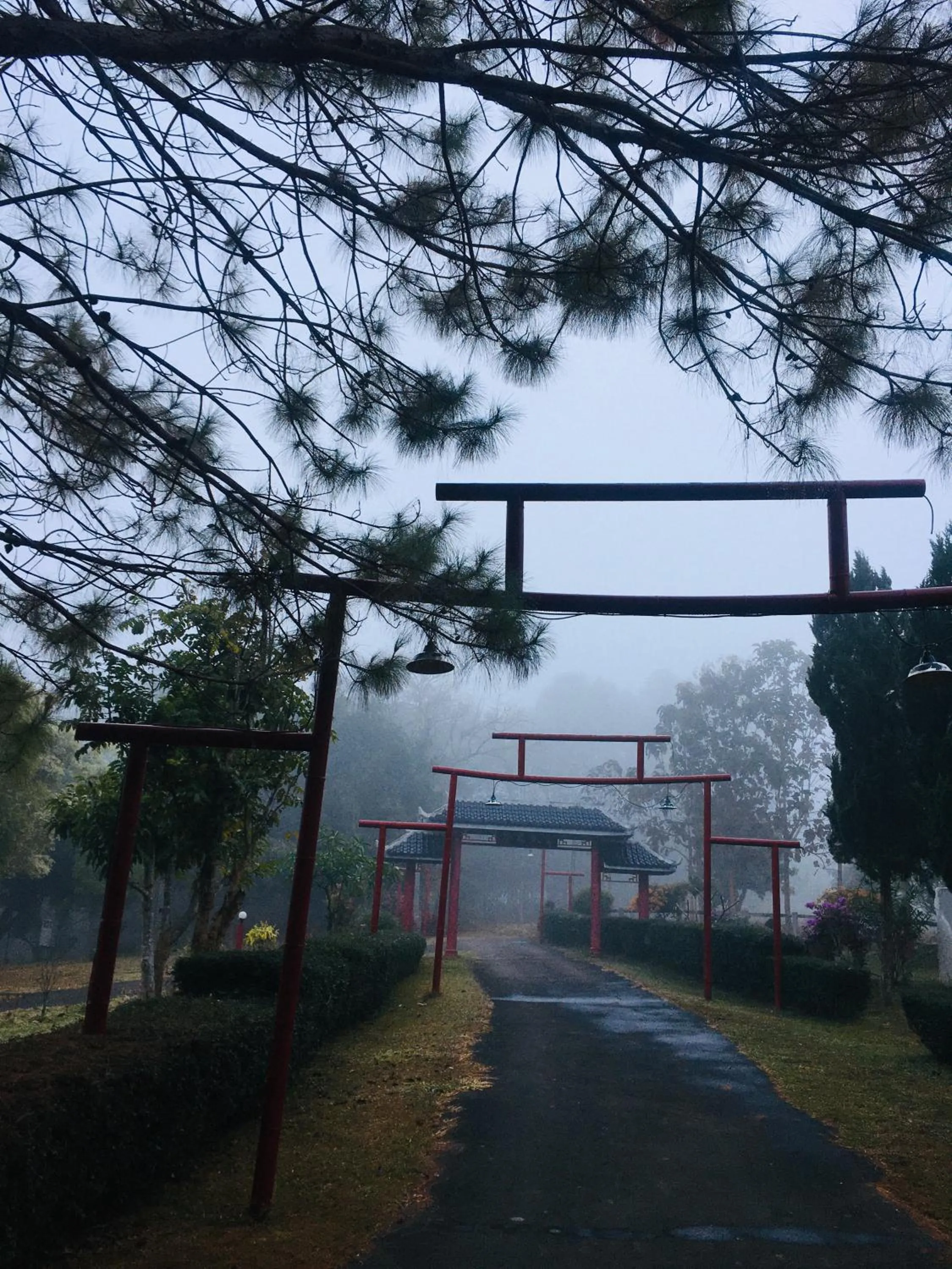 The Natural Yurt Resort @ Khao Kho