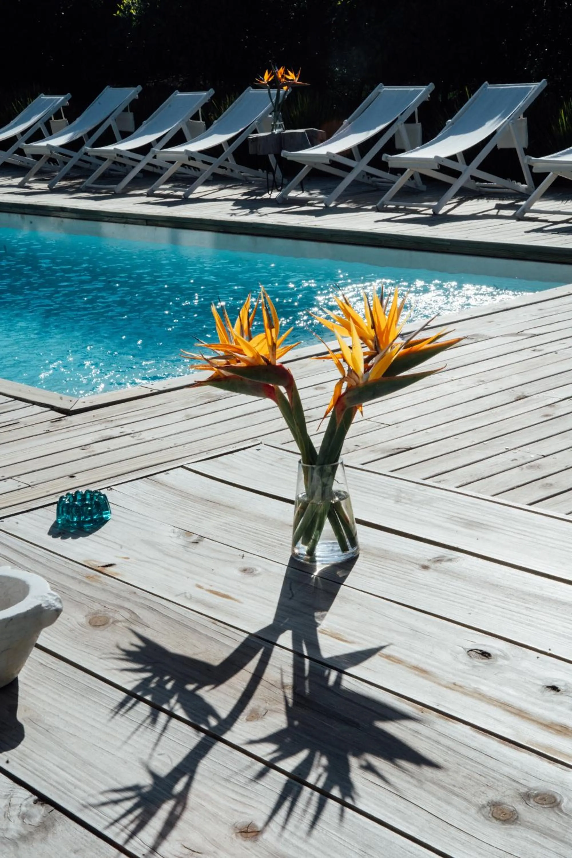 Swimming pool in Casa Flor