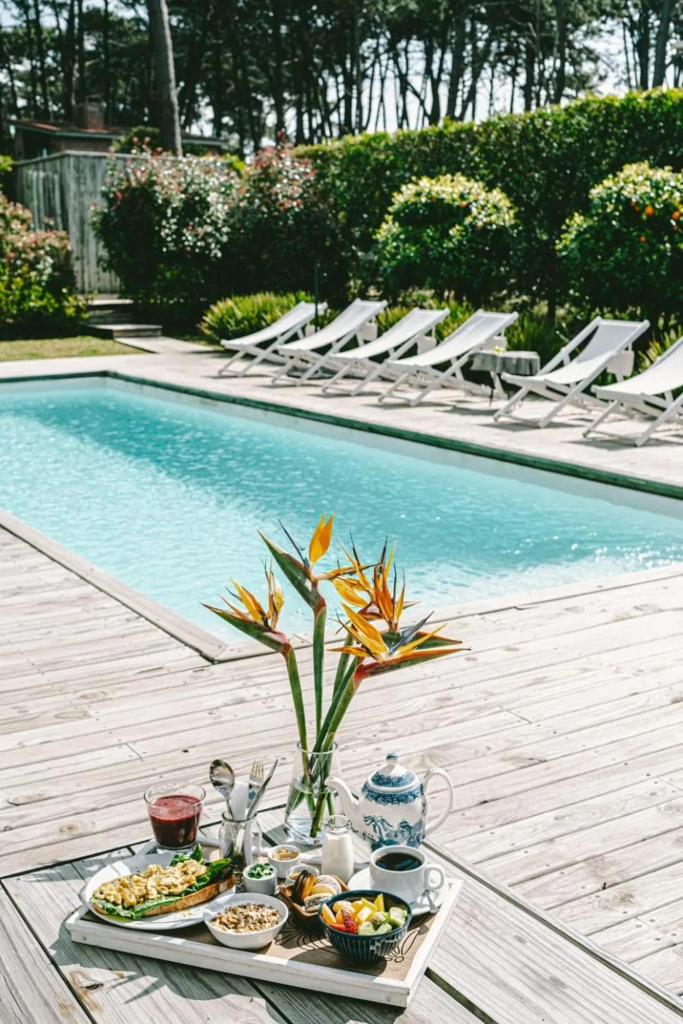 Garden view in Casa Flor