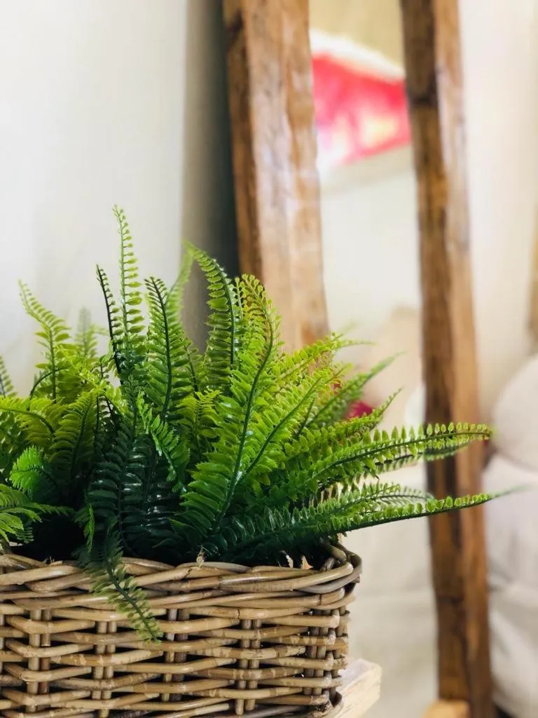 Agriturismo Alonì Costarella Masseria