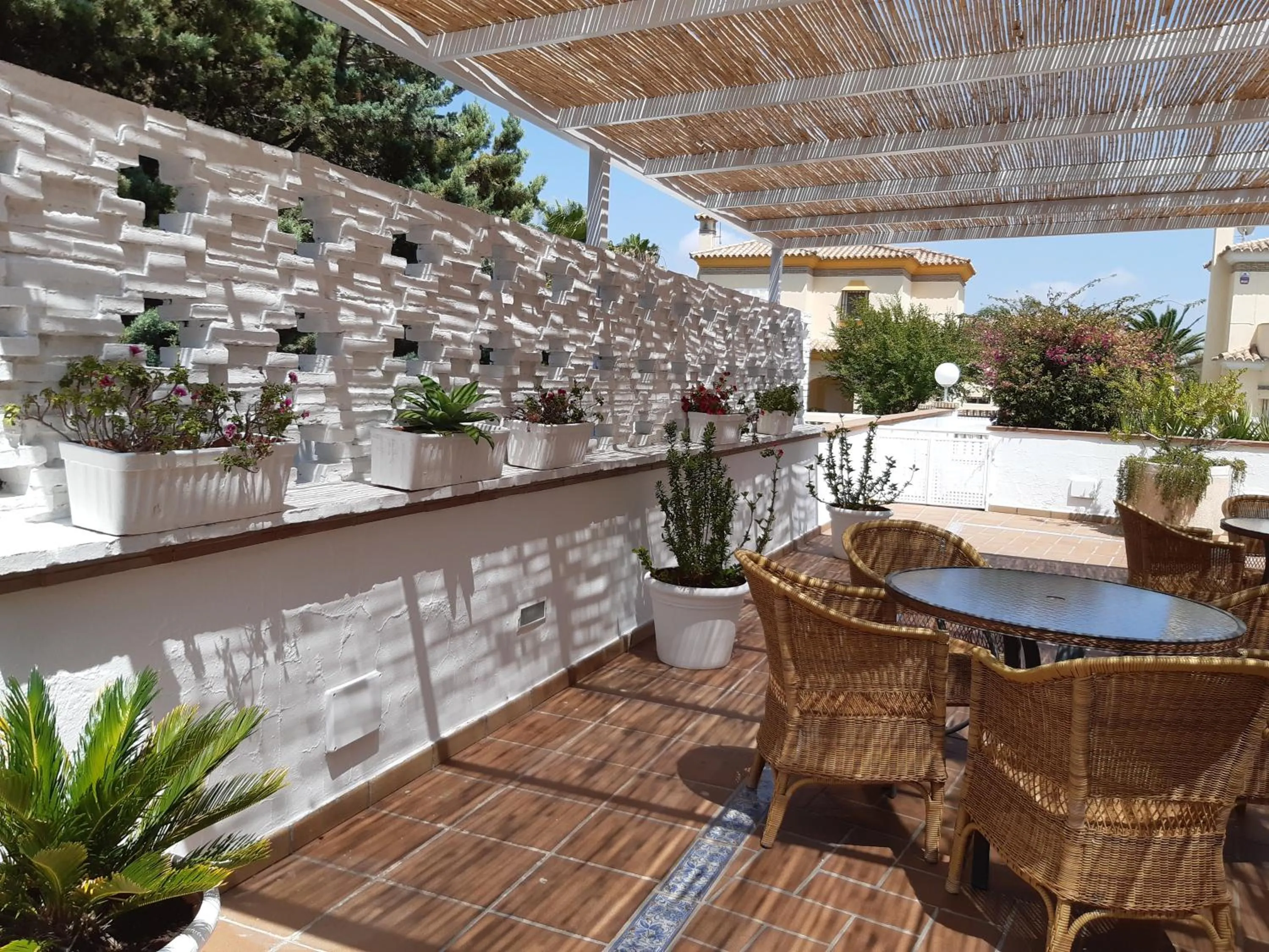 Balcony/Terrace in Hotel Marisma Sancti Petri