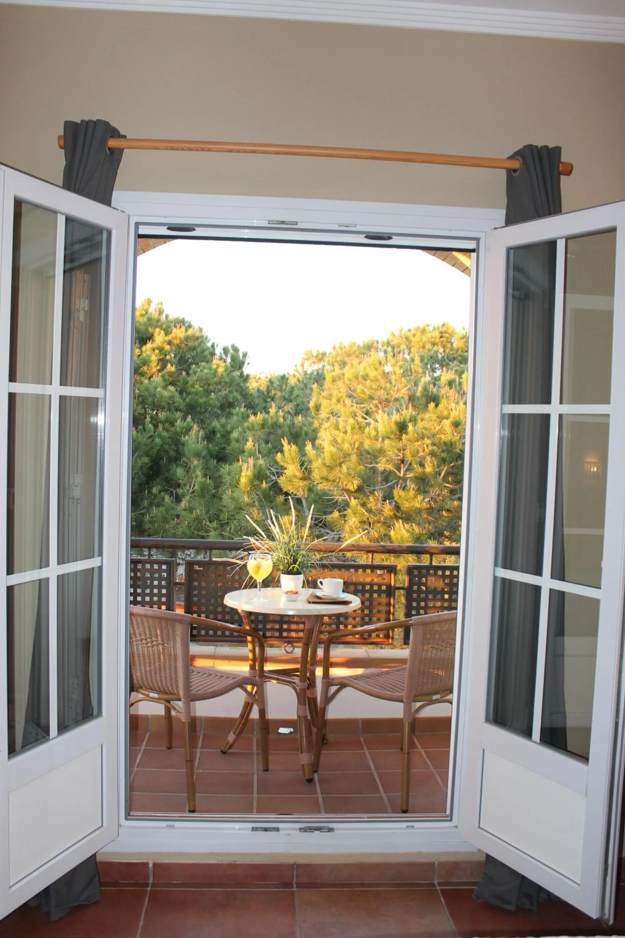 Balcony/Terrace in Hotel Marisma Sancti Petri