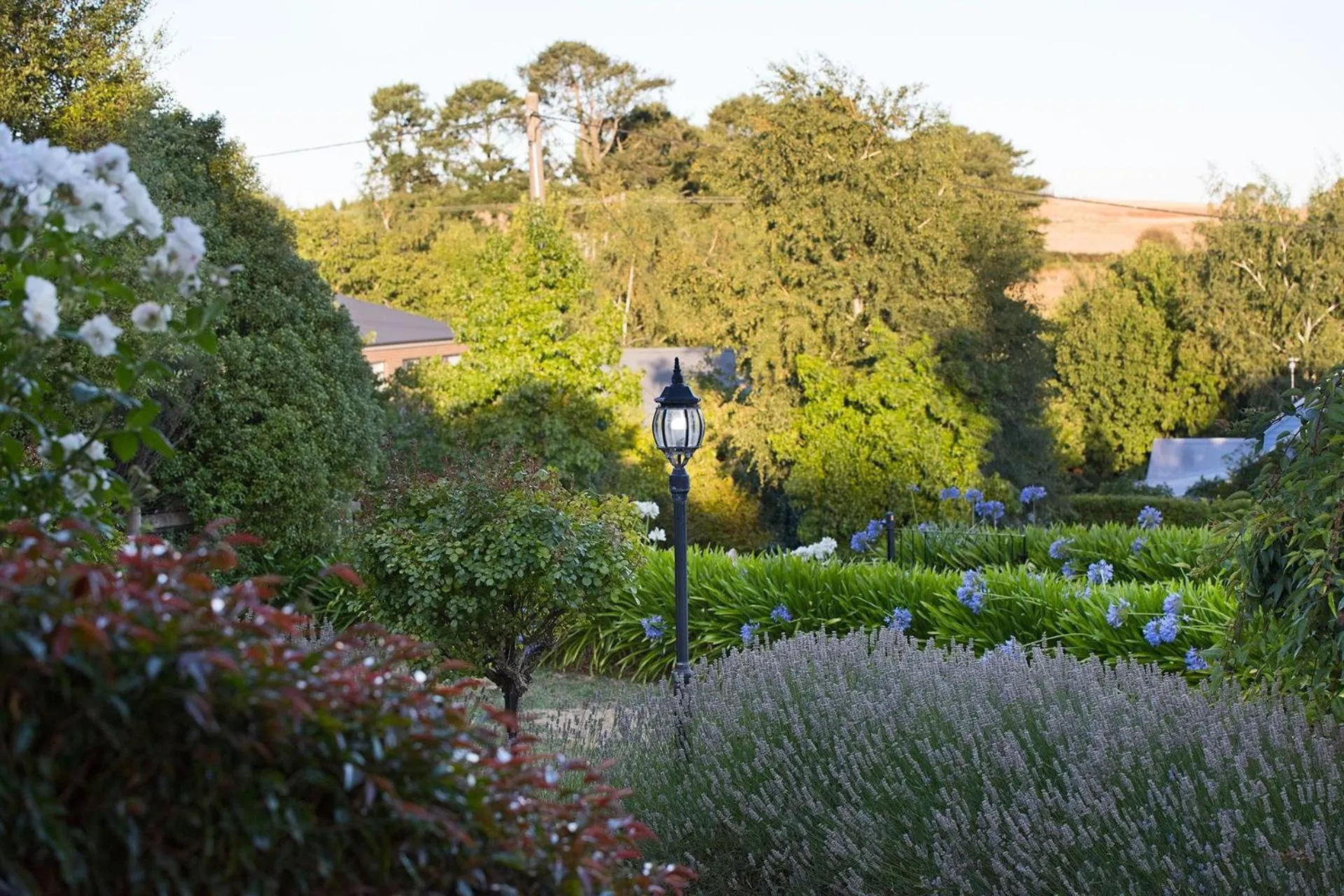 Aggies Way - dog friendly with panoramic views