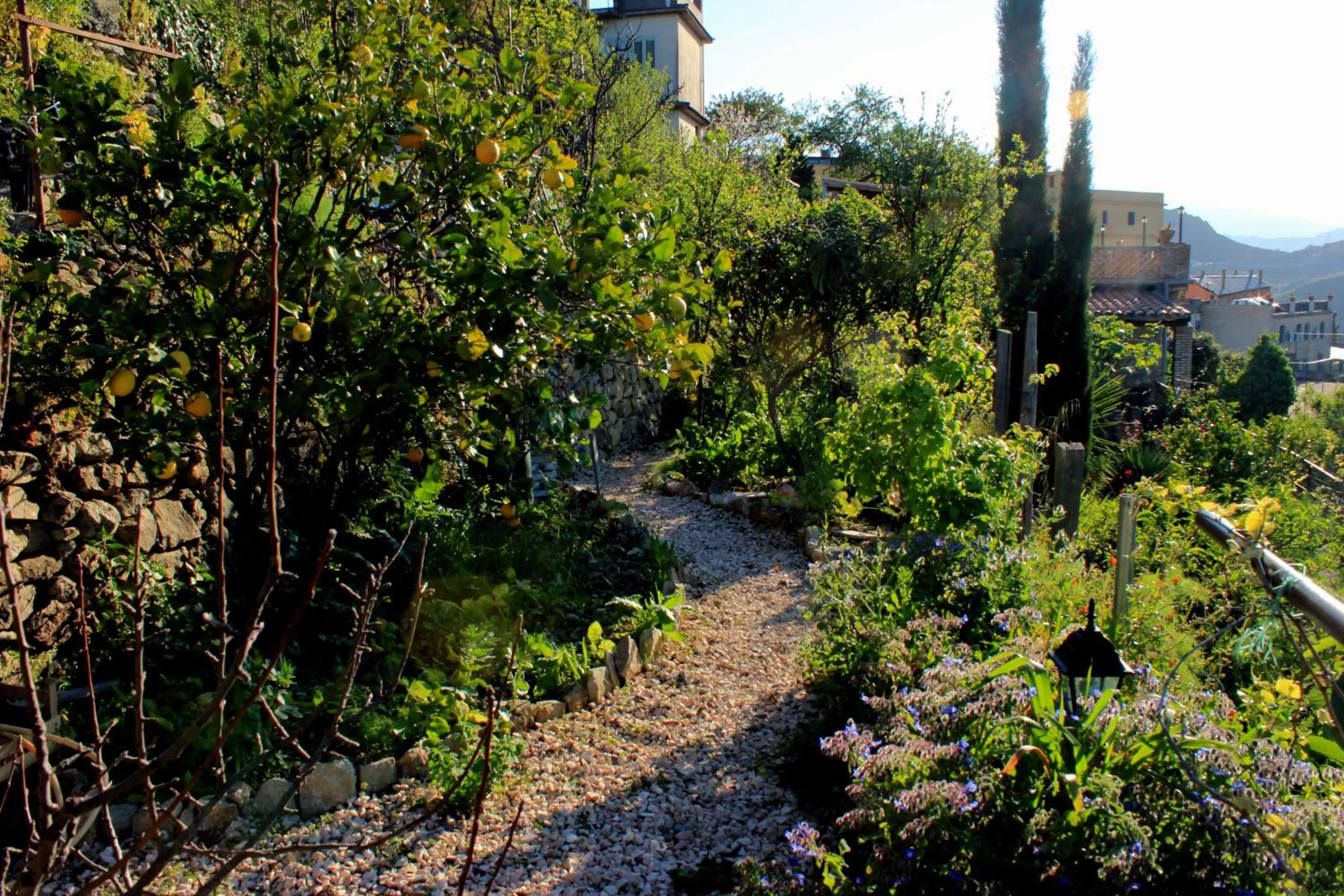 Garden in Villa Almoezia Charming B&B
