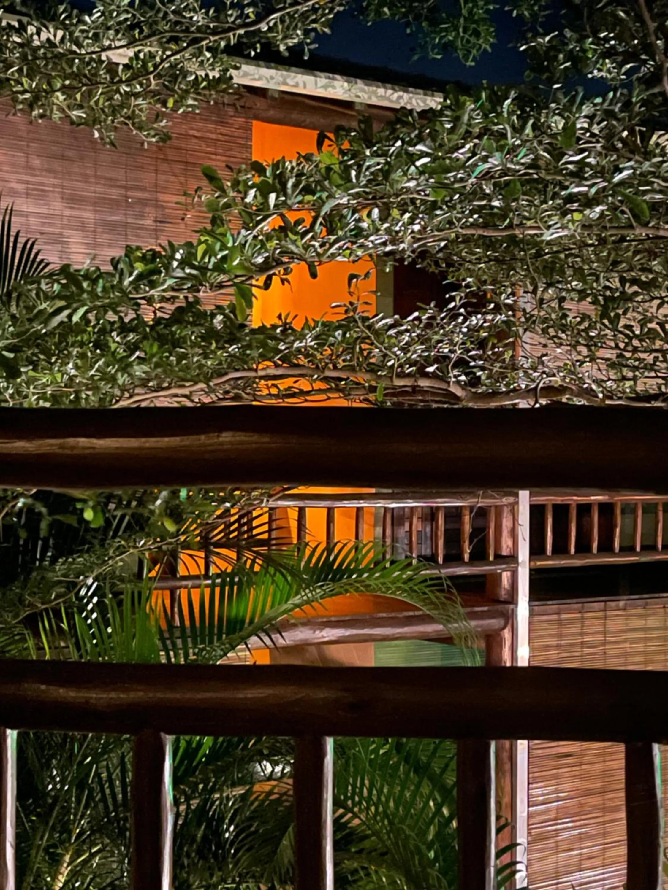 Night in Maui Maui Wellness- Taipu de Fora - Barra Grande