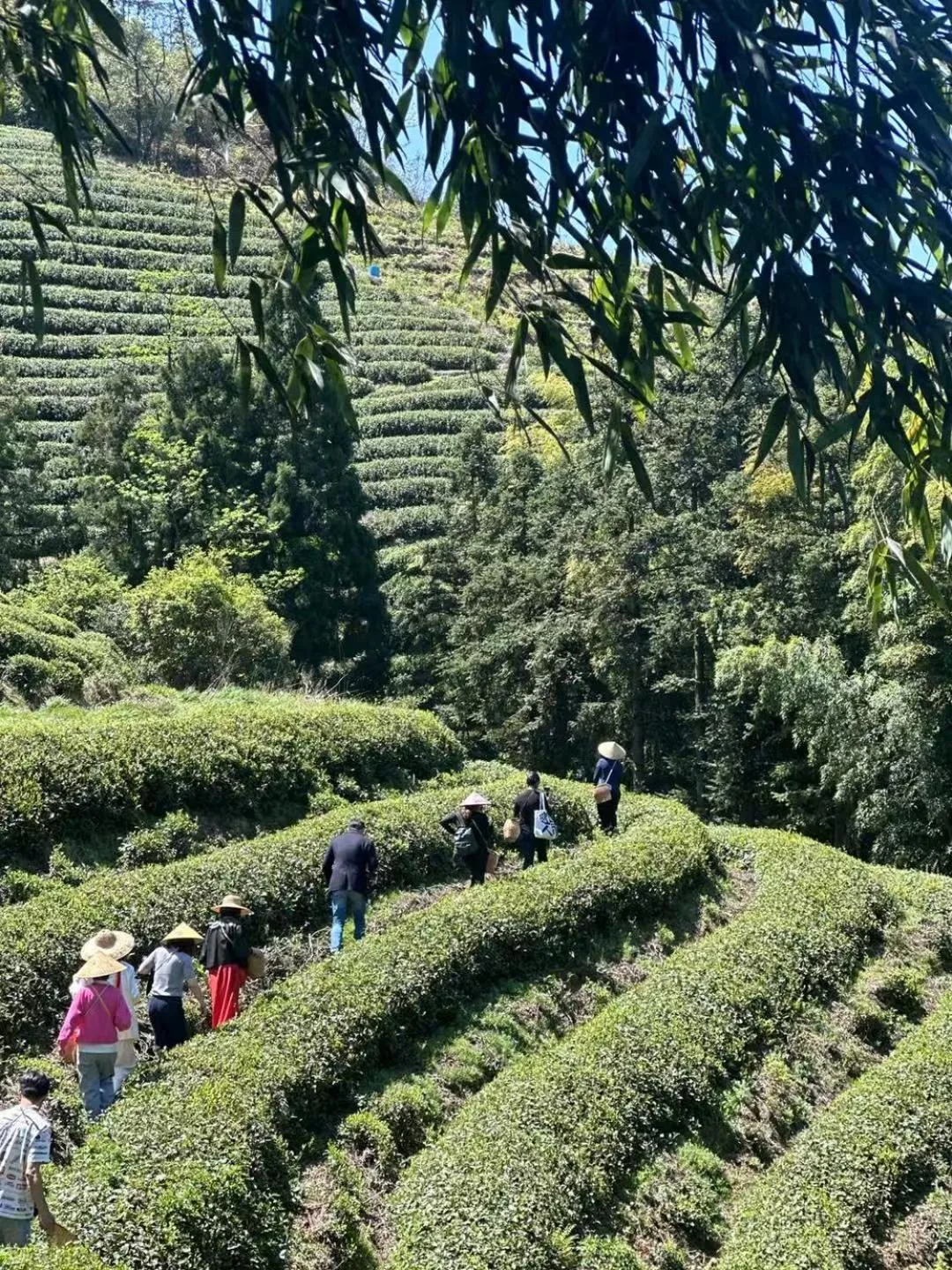 Other in AHN LAN Ninghai