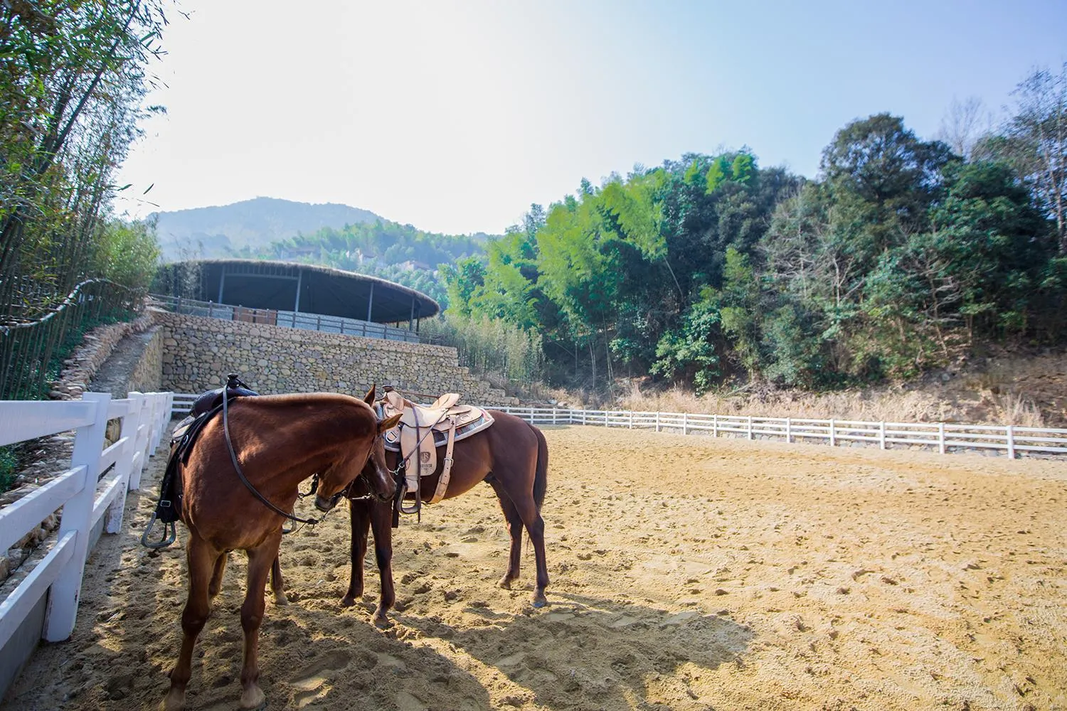 Horse-riding in AHN LAN Ninghai