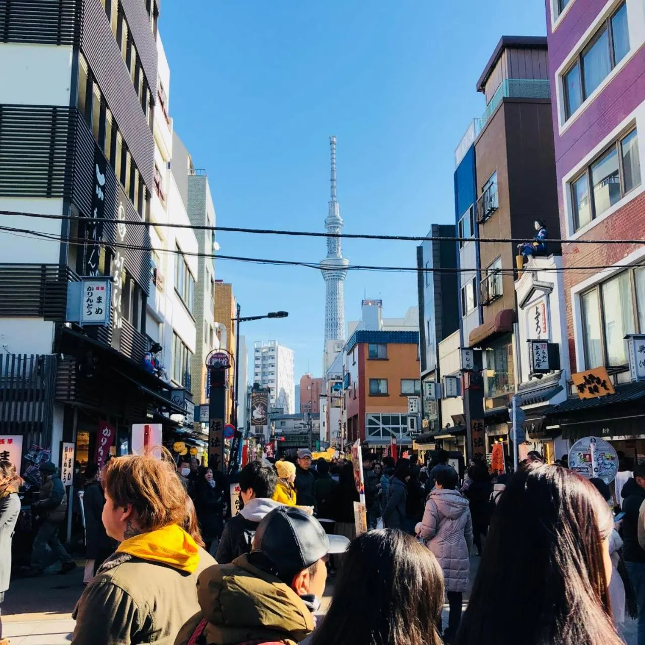 Neighbourhood in plat hostel keikyu asakusa karin