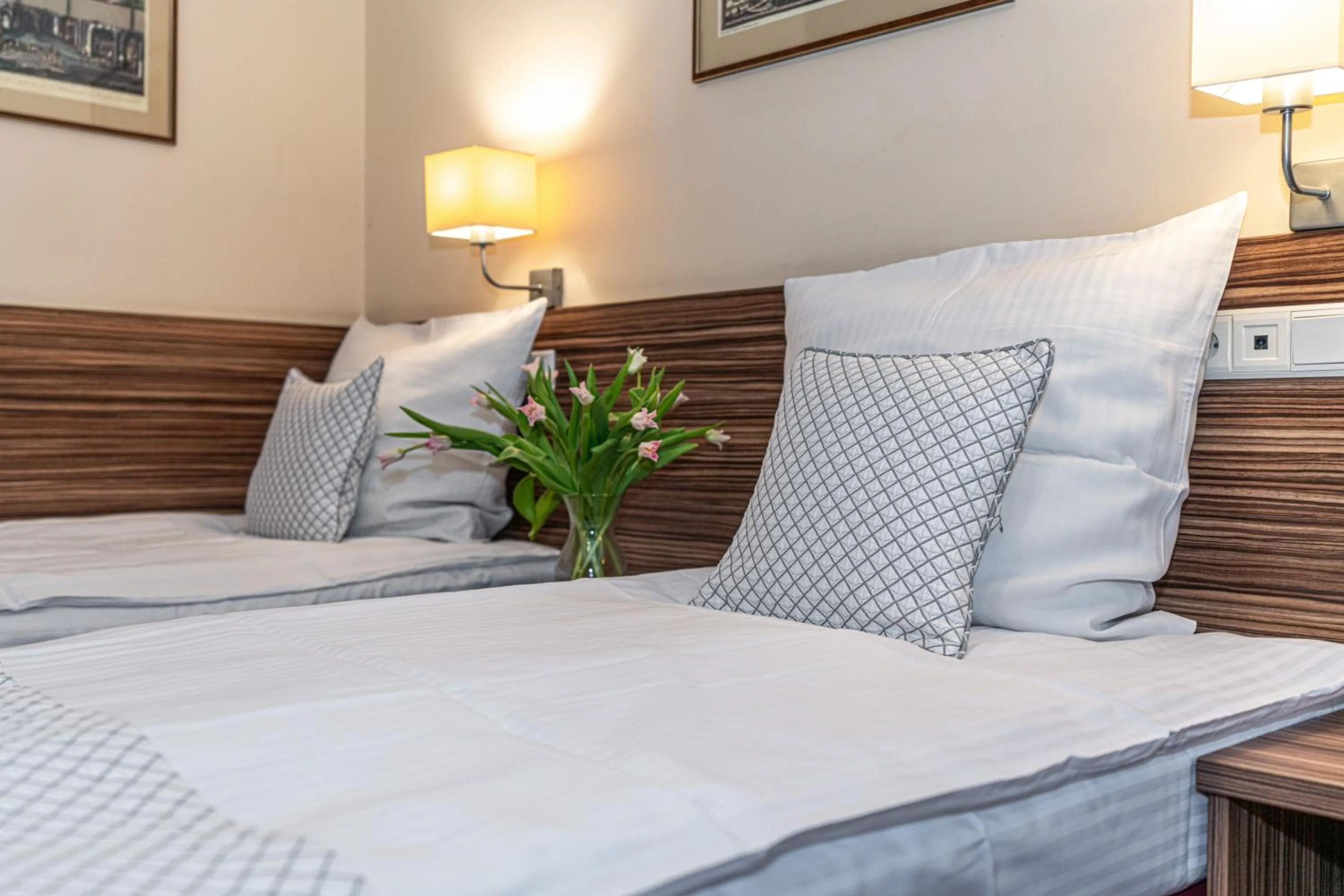 Twin Room in Hotel Soray