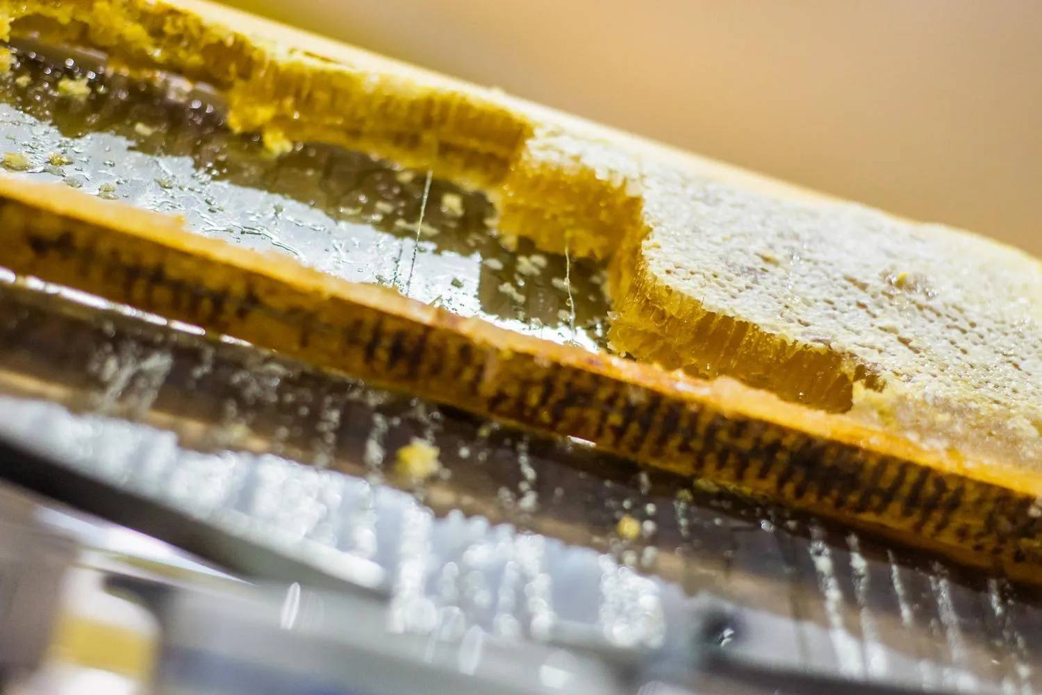 Food in Udalla Park - Hotel & Apartamentos