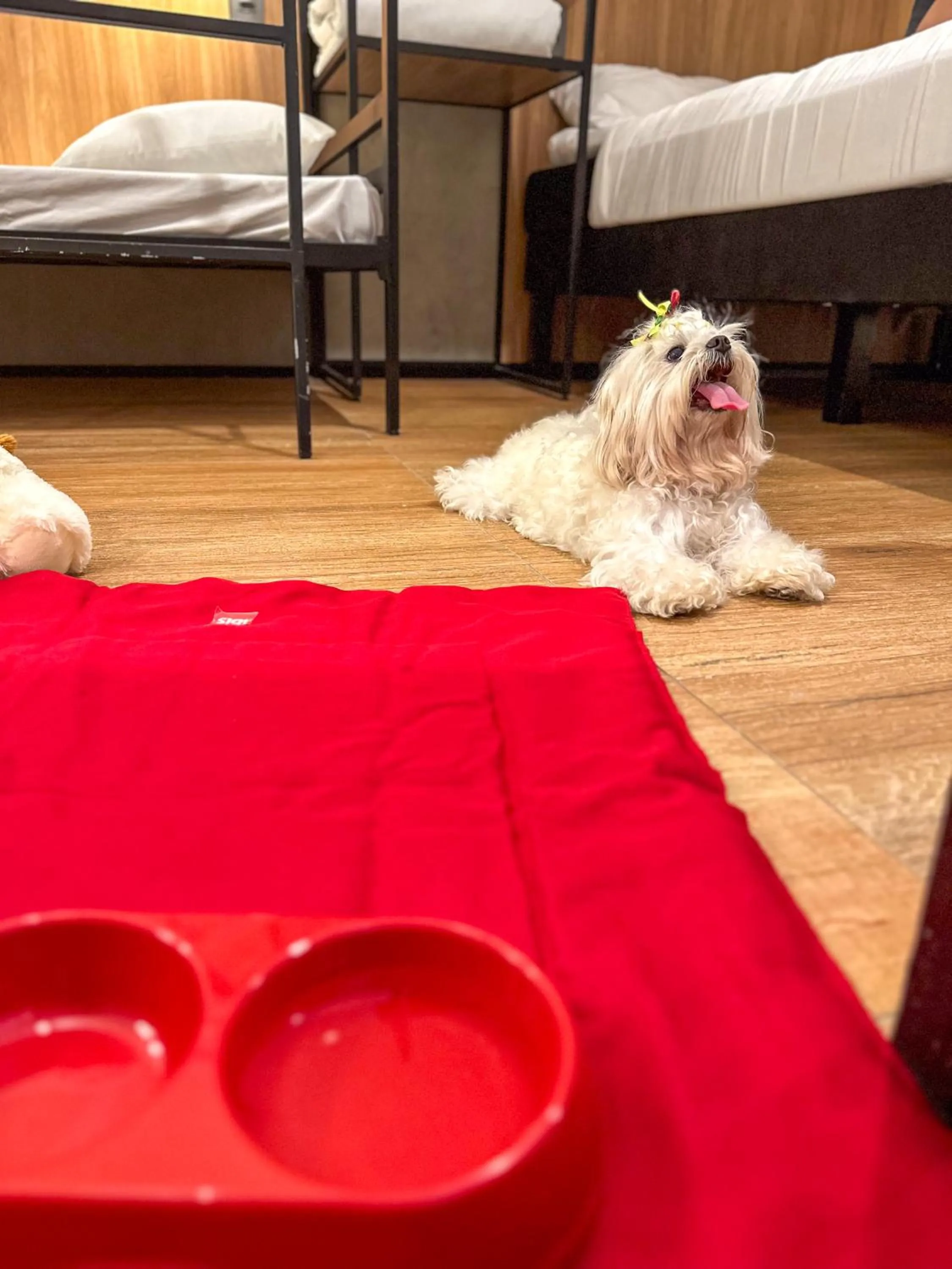 Property building in ibis Maceio Pajuçara