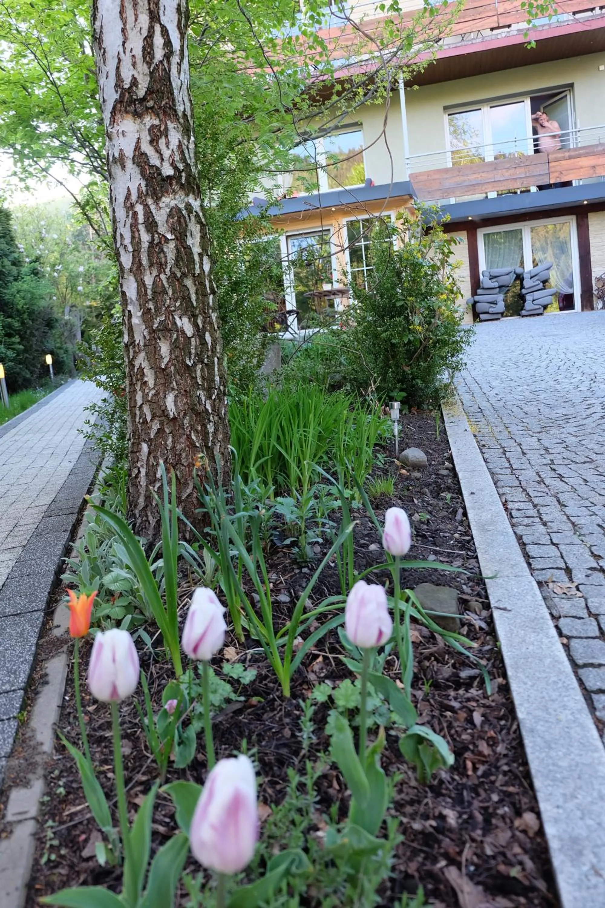 Garden in Willa Pod Aniołem - Pokoje Gościnne & Apartamenty z widokiem na góry
