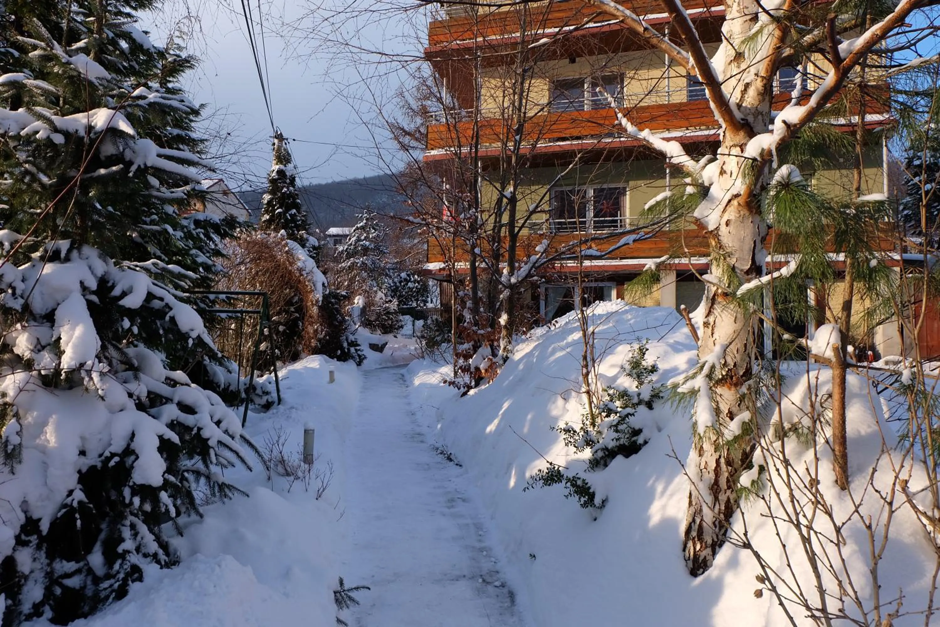 Facade/entrance in Willa Pod Aniołem - Pokoje Gościnne & Apartamenty z widokiem na góry