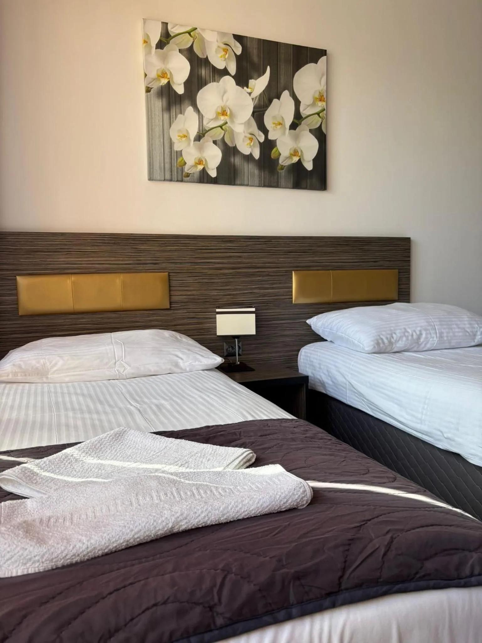 Bedroom, Bed in Hotel Montenegro