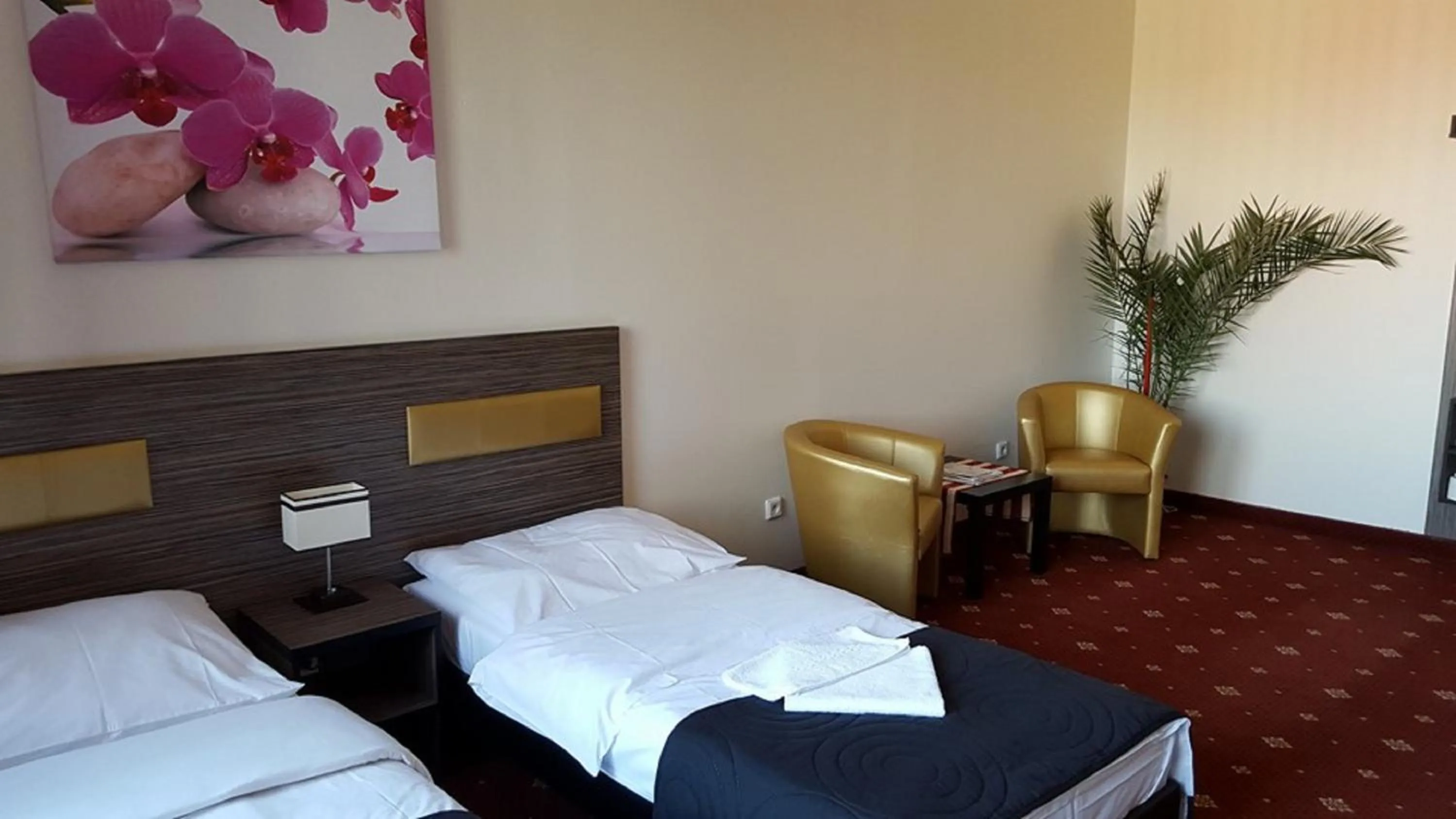 Living room, Bed in Hotel Montenegro