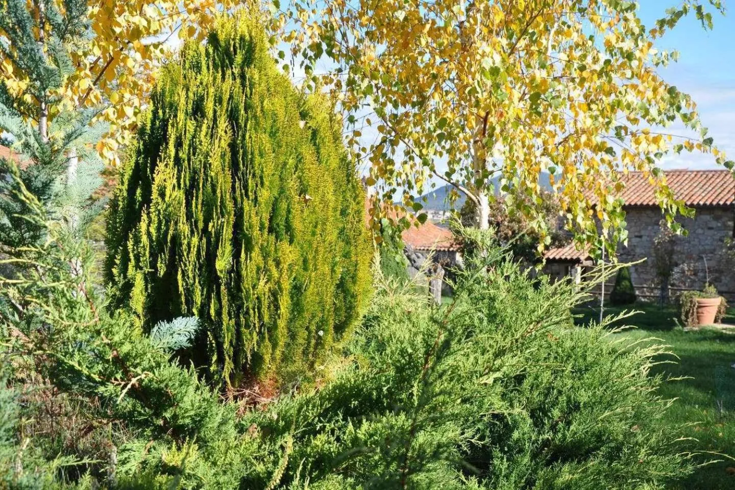 La Quinta Del Chocolatero