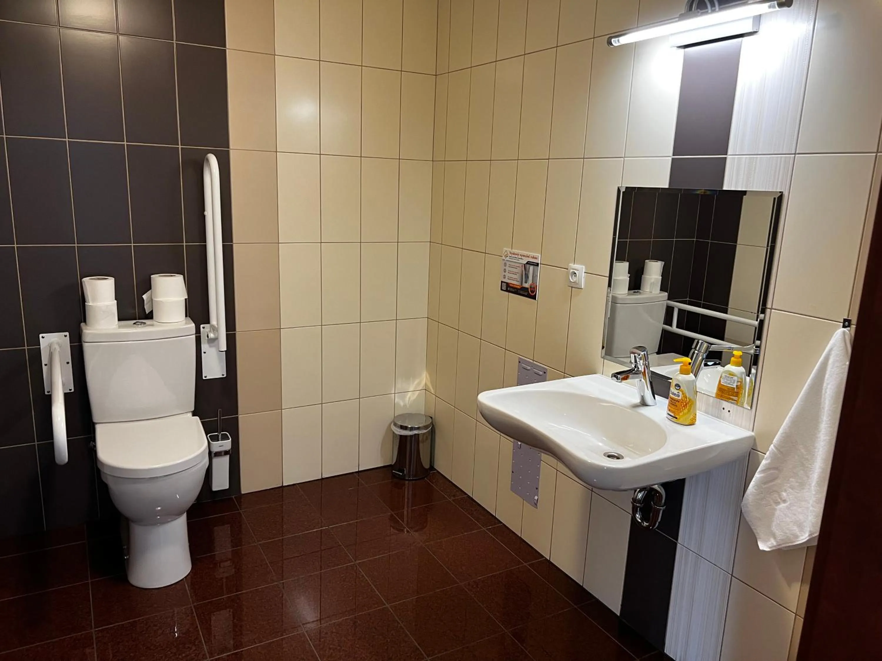 Facility for disabled guests in Hotel Arena