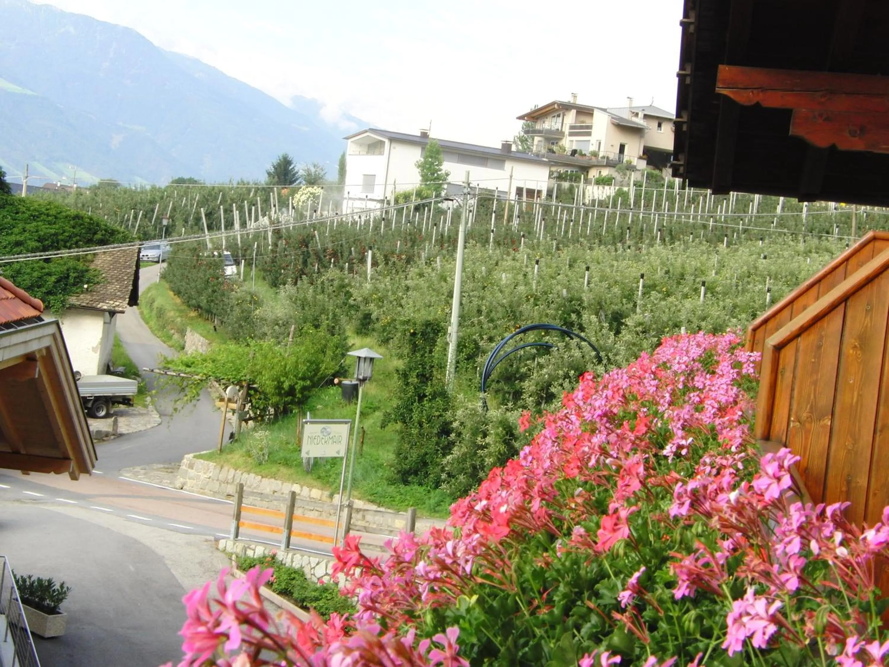 View (from property/room) in Garni An der Leit