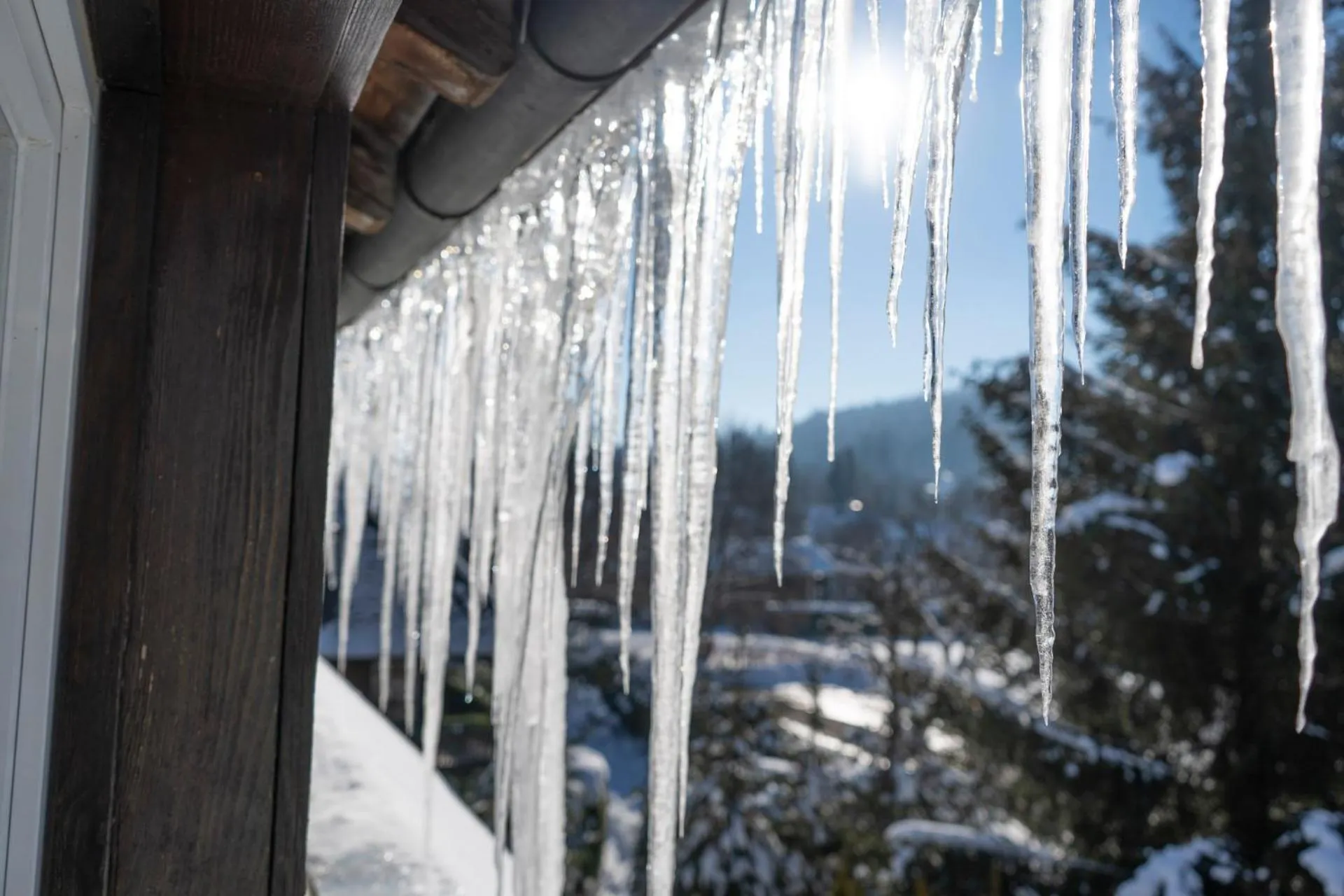 Day in NATURION Hotel Hinterzarten