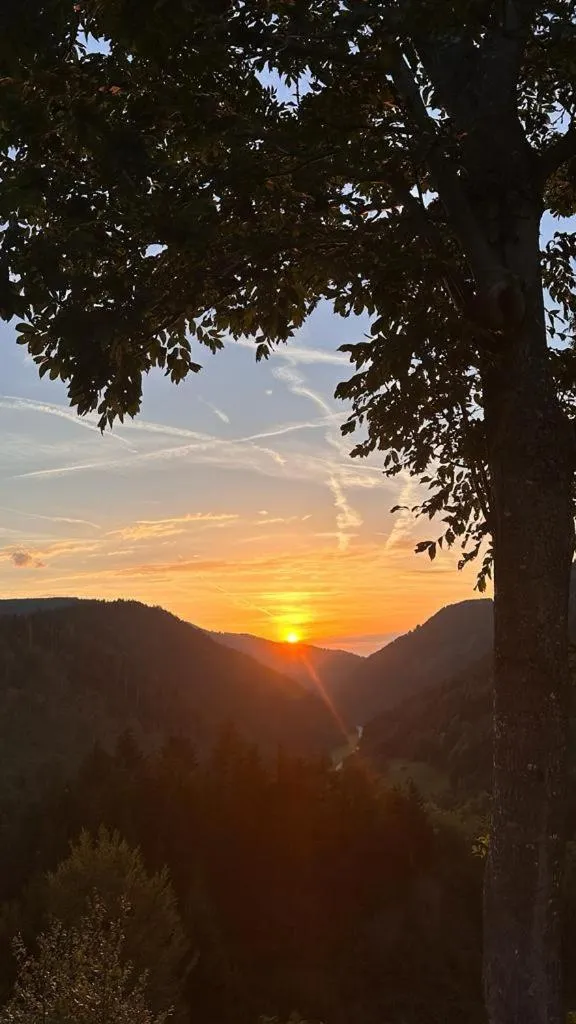 Nearby landmark in NATURION Hotel Hinterzarten