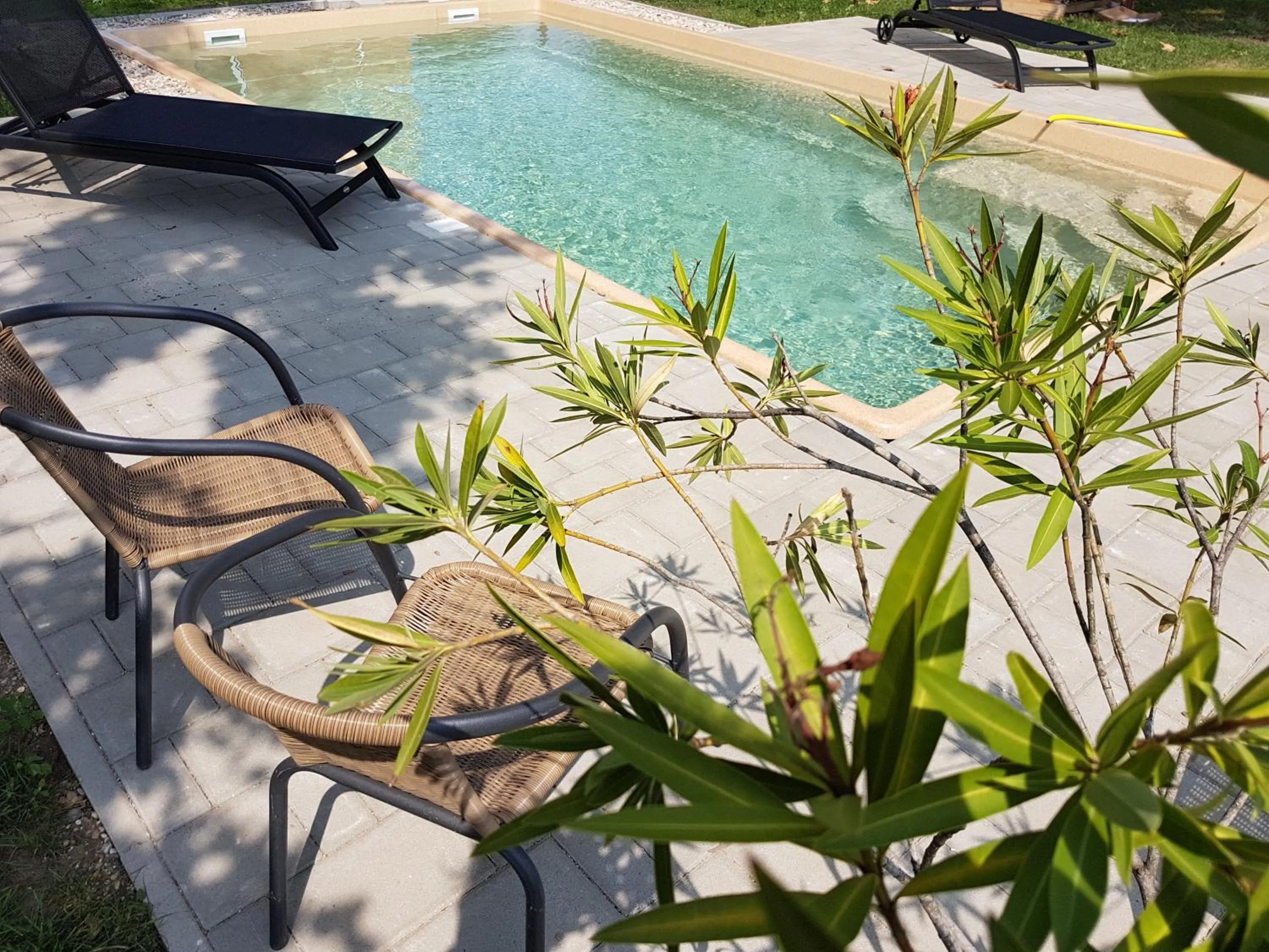 Swimming pool in Tarnóca Kúria
