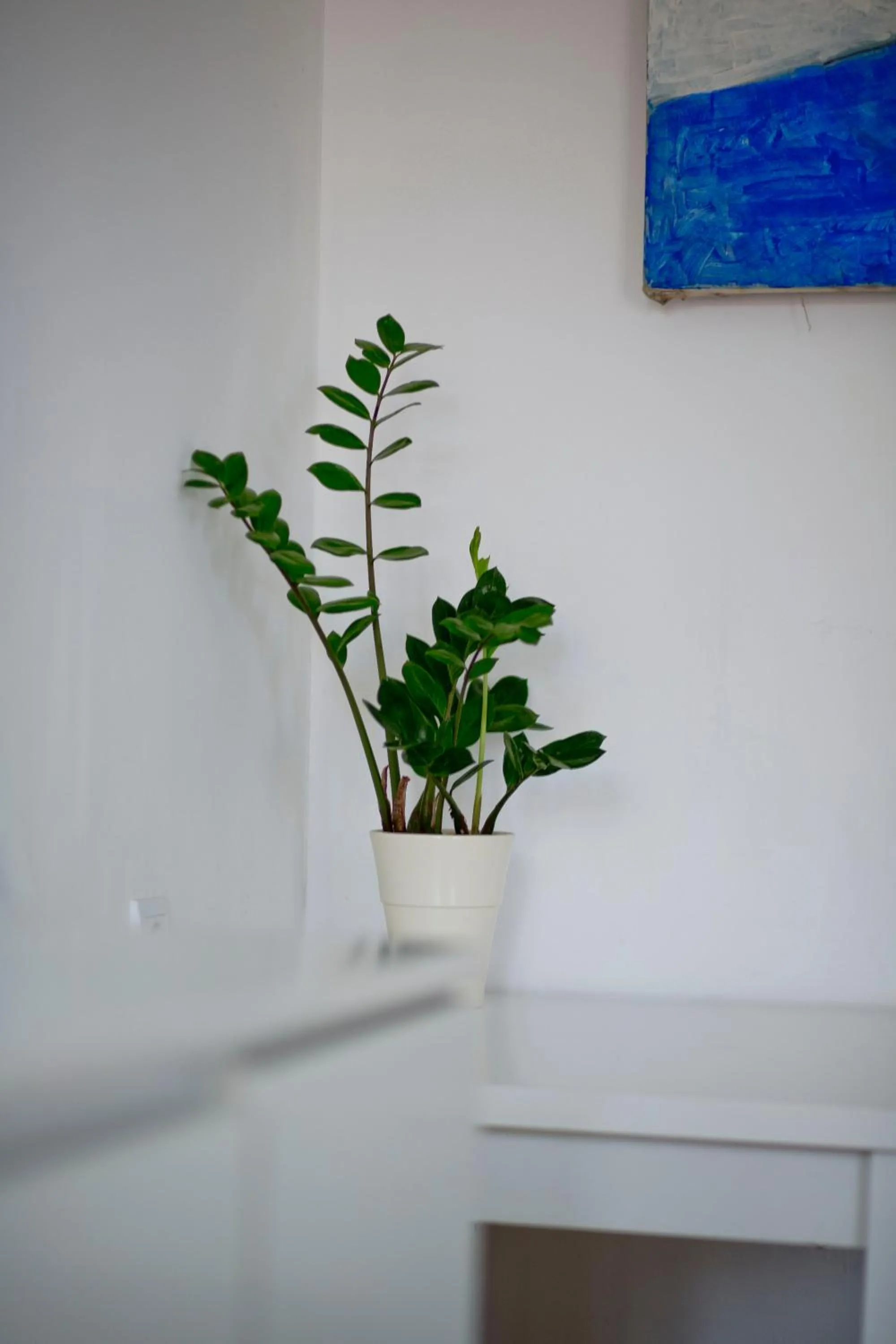 Day in Rooms Zagreb 17