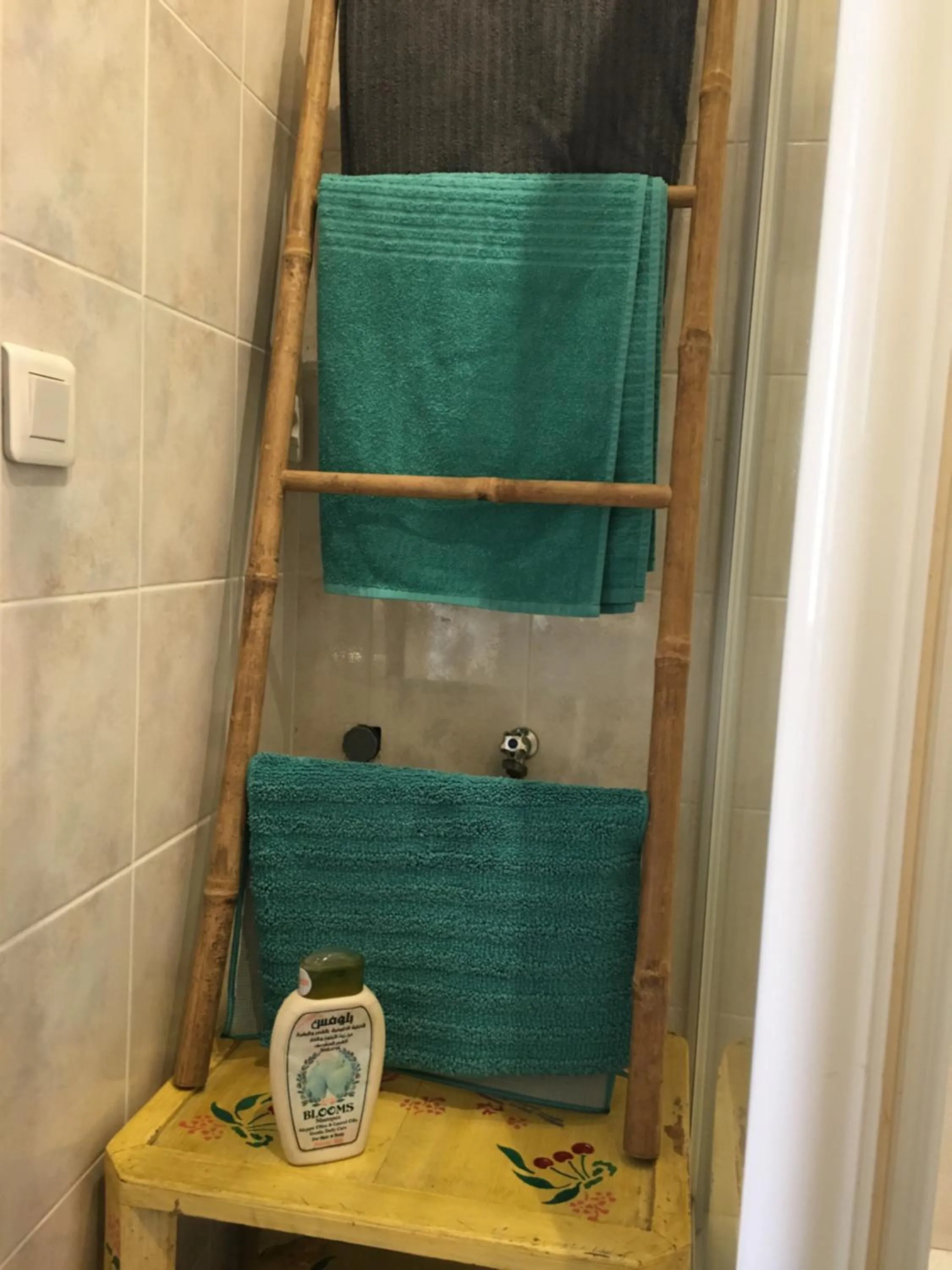 Bathroom in Coeur de village