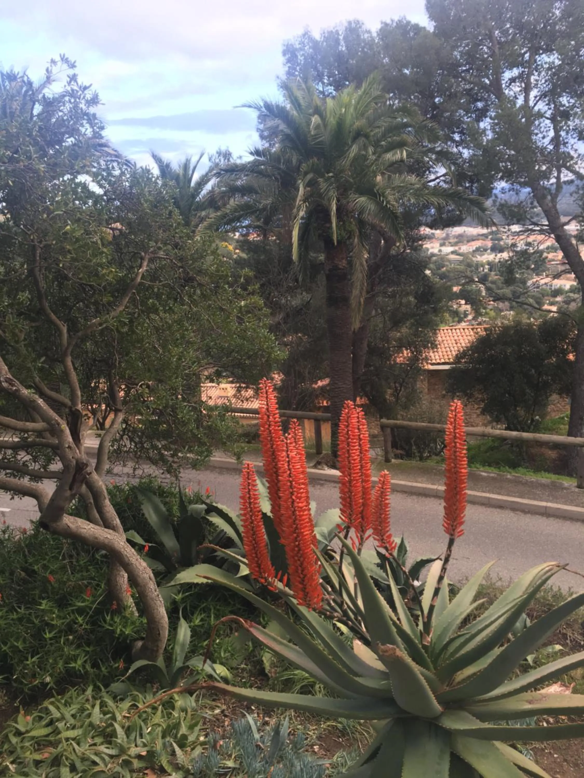 Natural landscape in Coeur de village