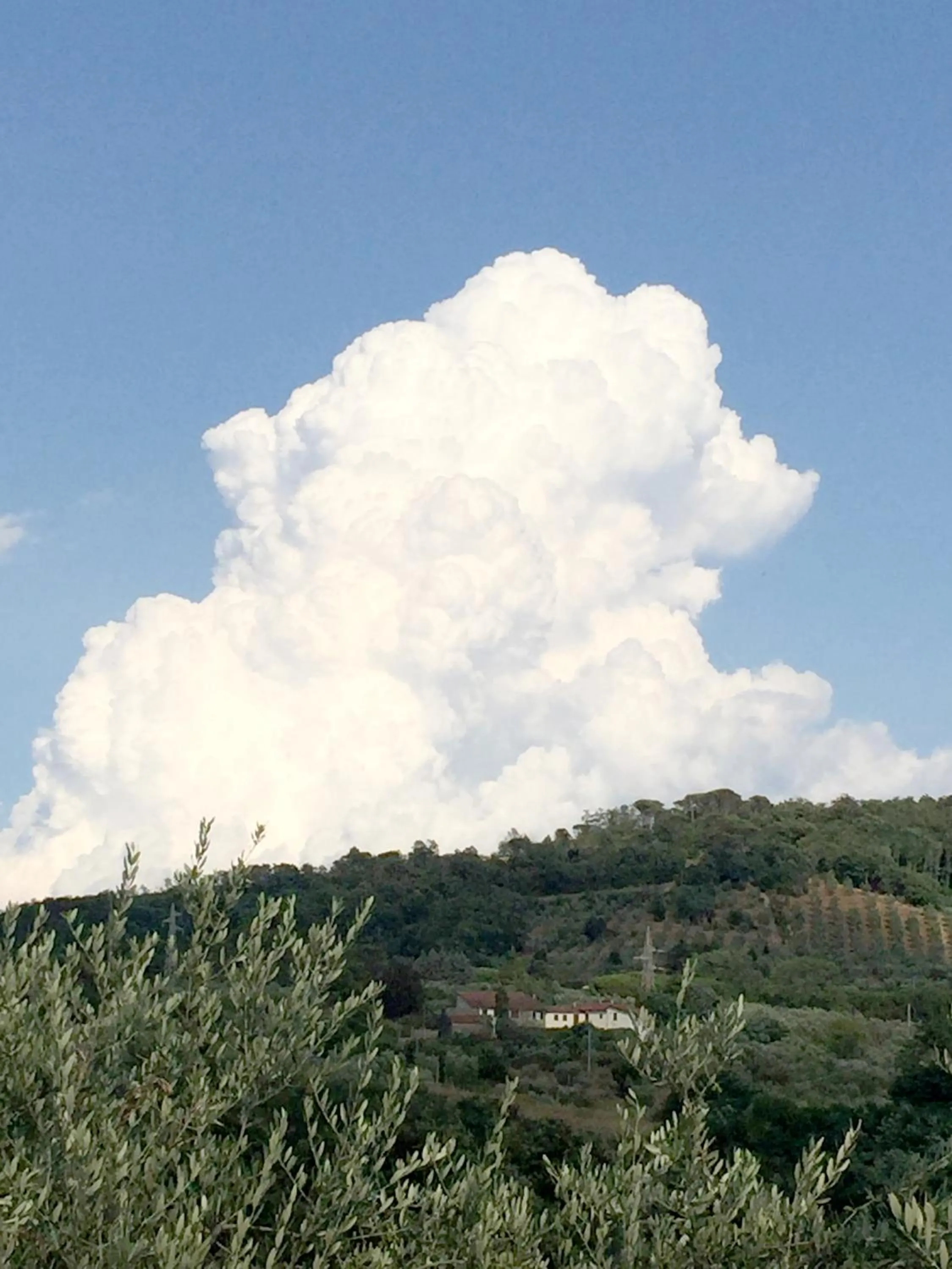 Neighbourhood in il Podere La Casina