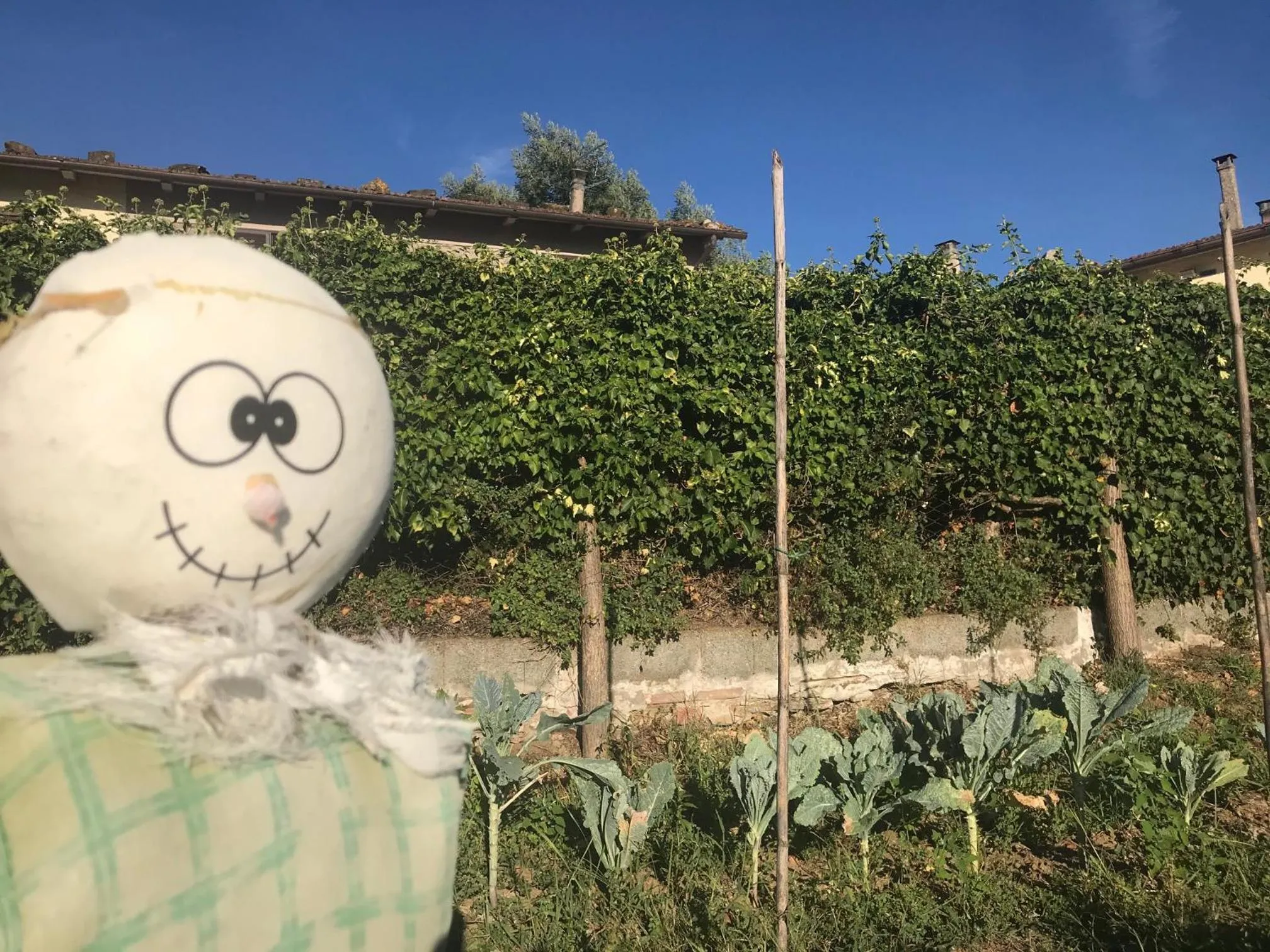 Activities in il Podere La Casina