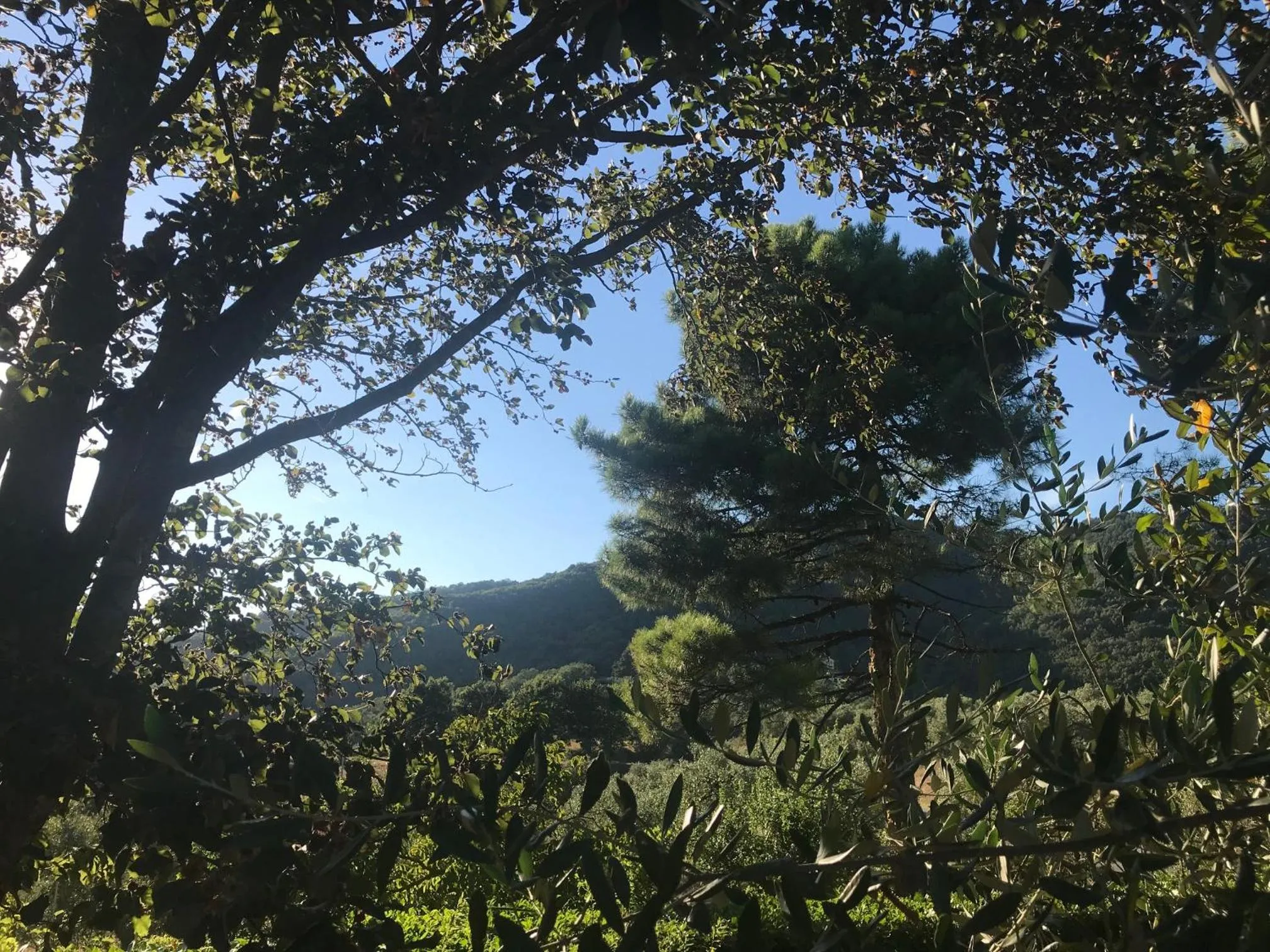 Activities in il Podere La Casina