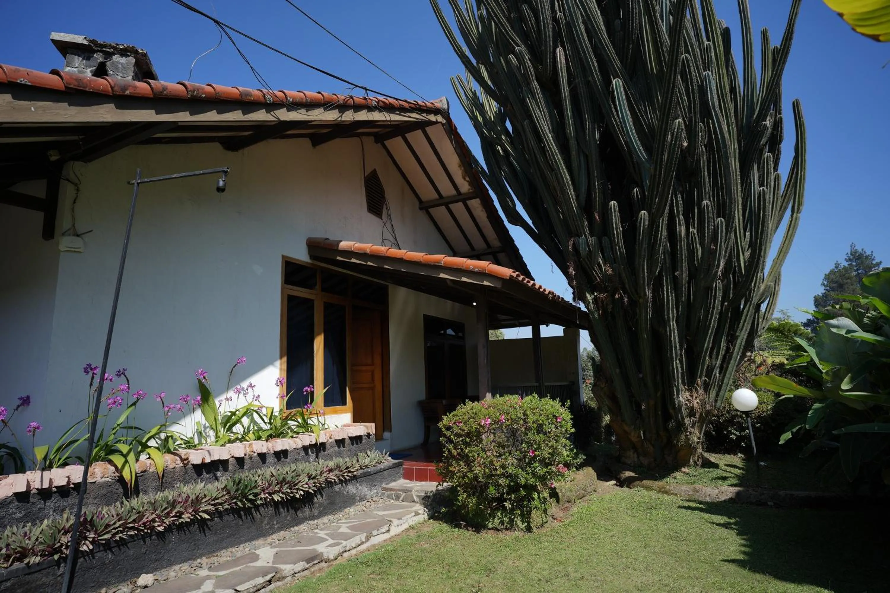 Garden in Citere Resort Hotel