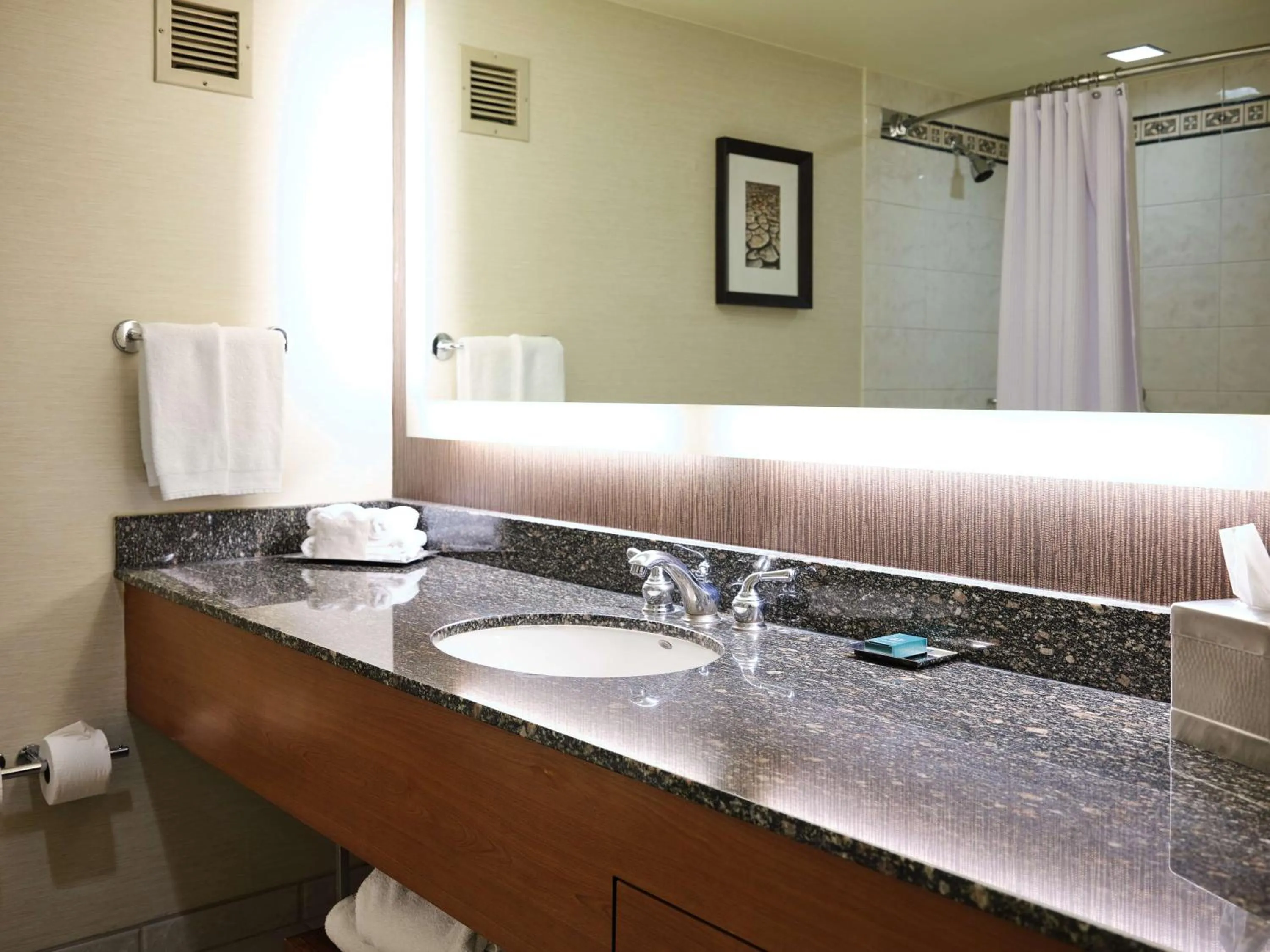 Bathroom in Hilton Salt Lake City Center