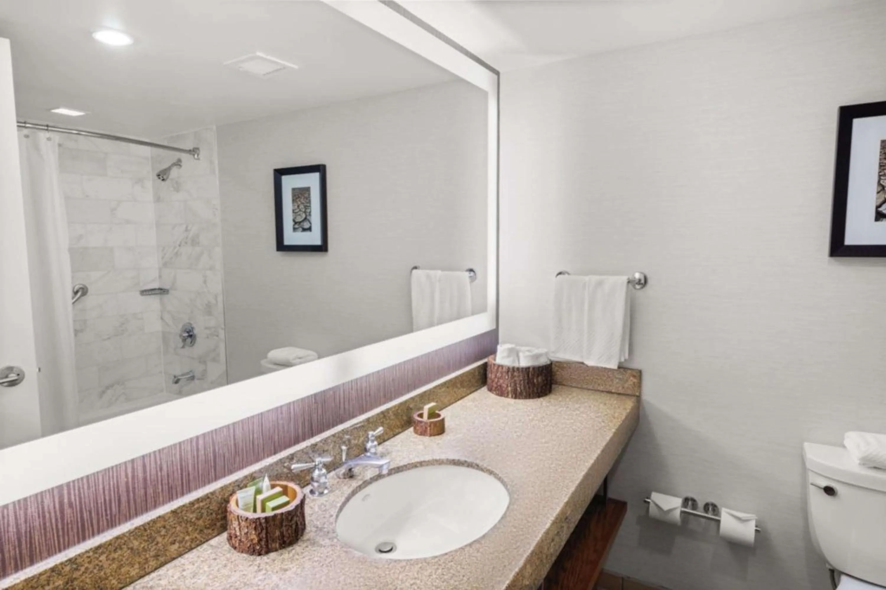 Bathroom in Hilton Salt Lake City Center