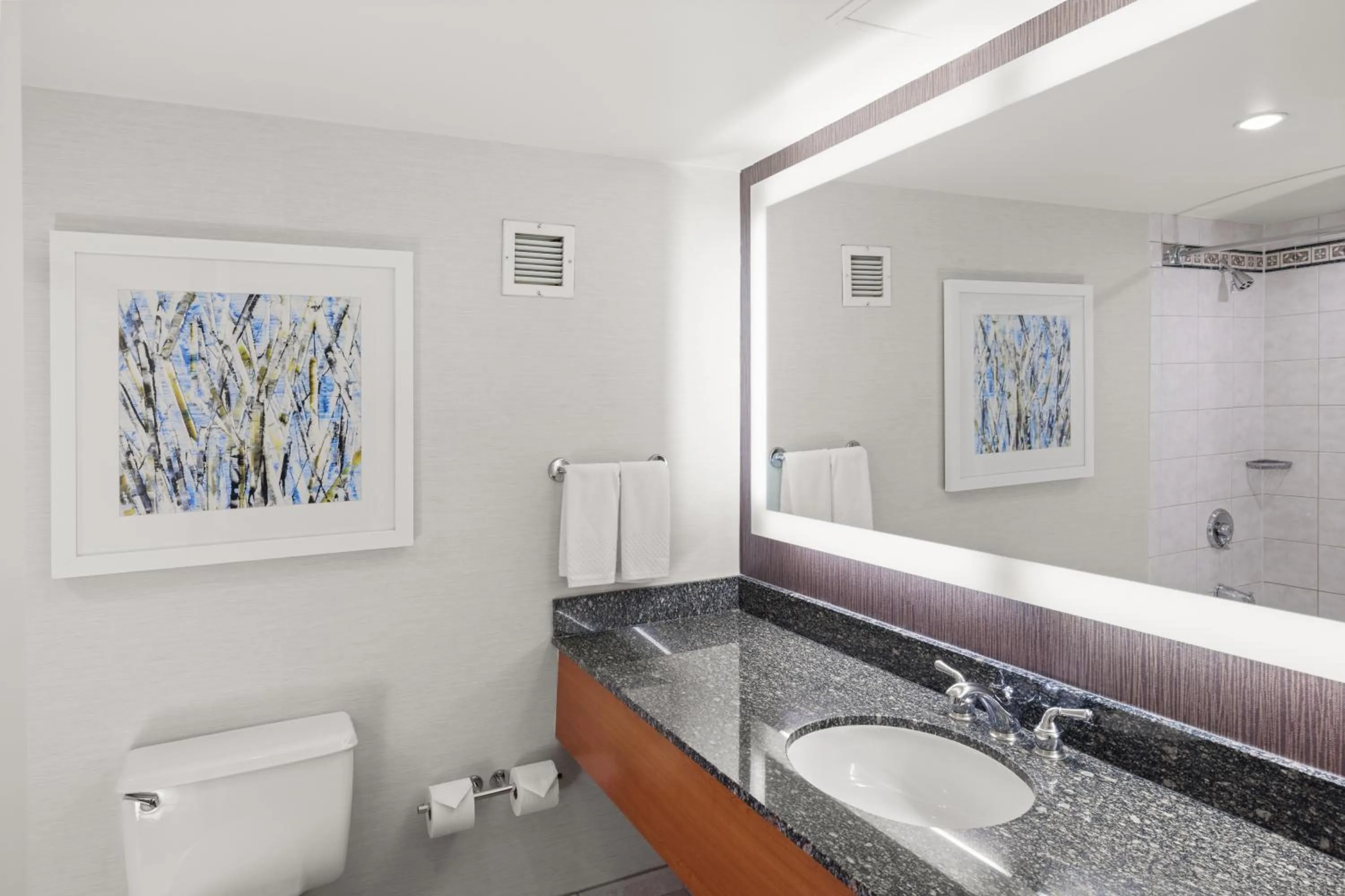 Bathroom in Hilton Salt Lake City Center