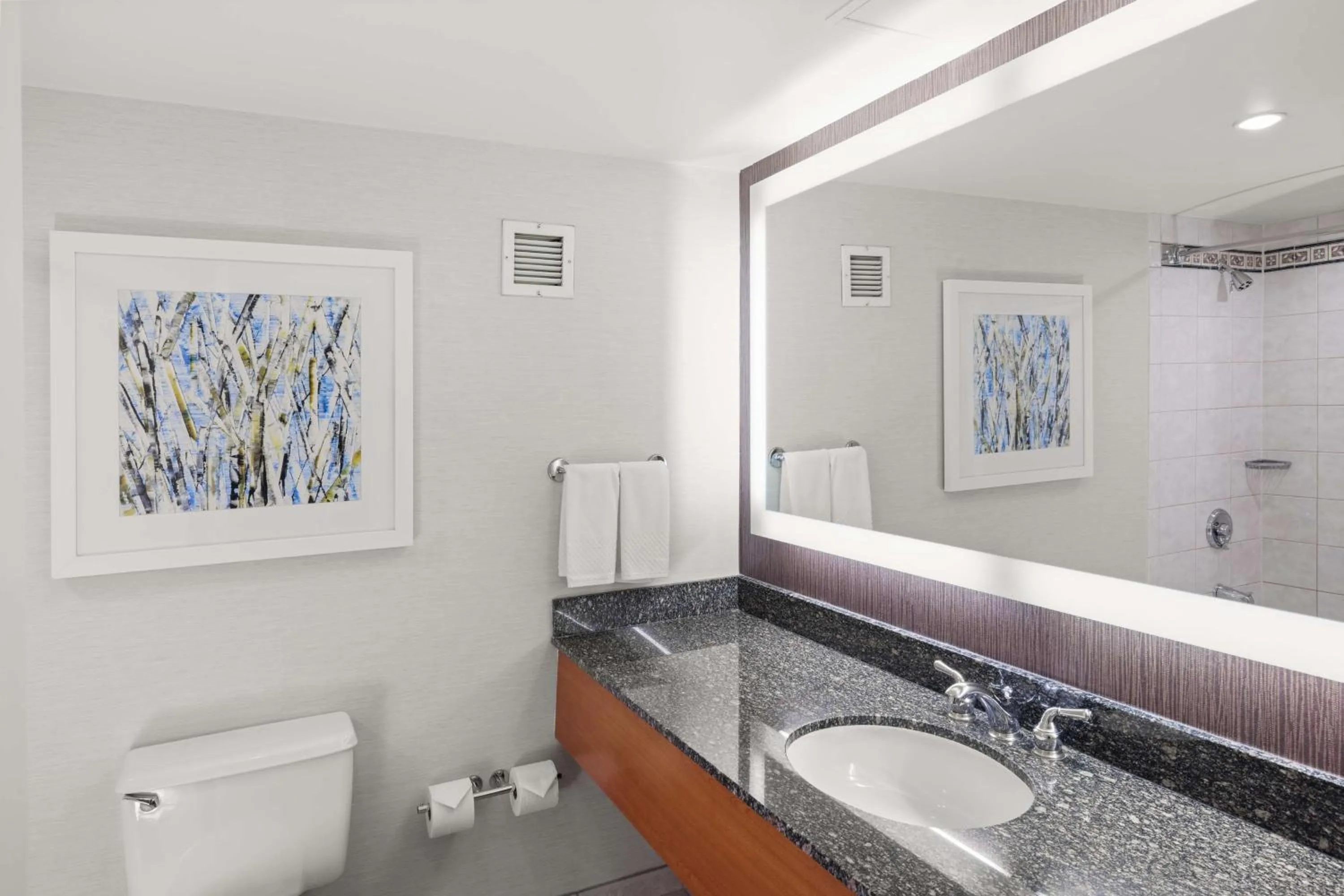 Bathroom in Hilton Salt Lake City Center