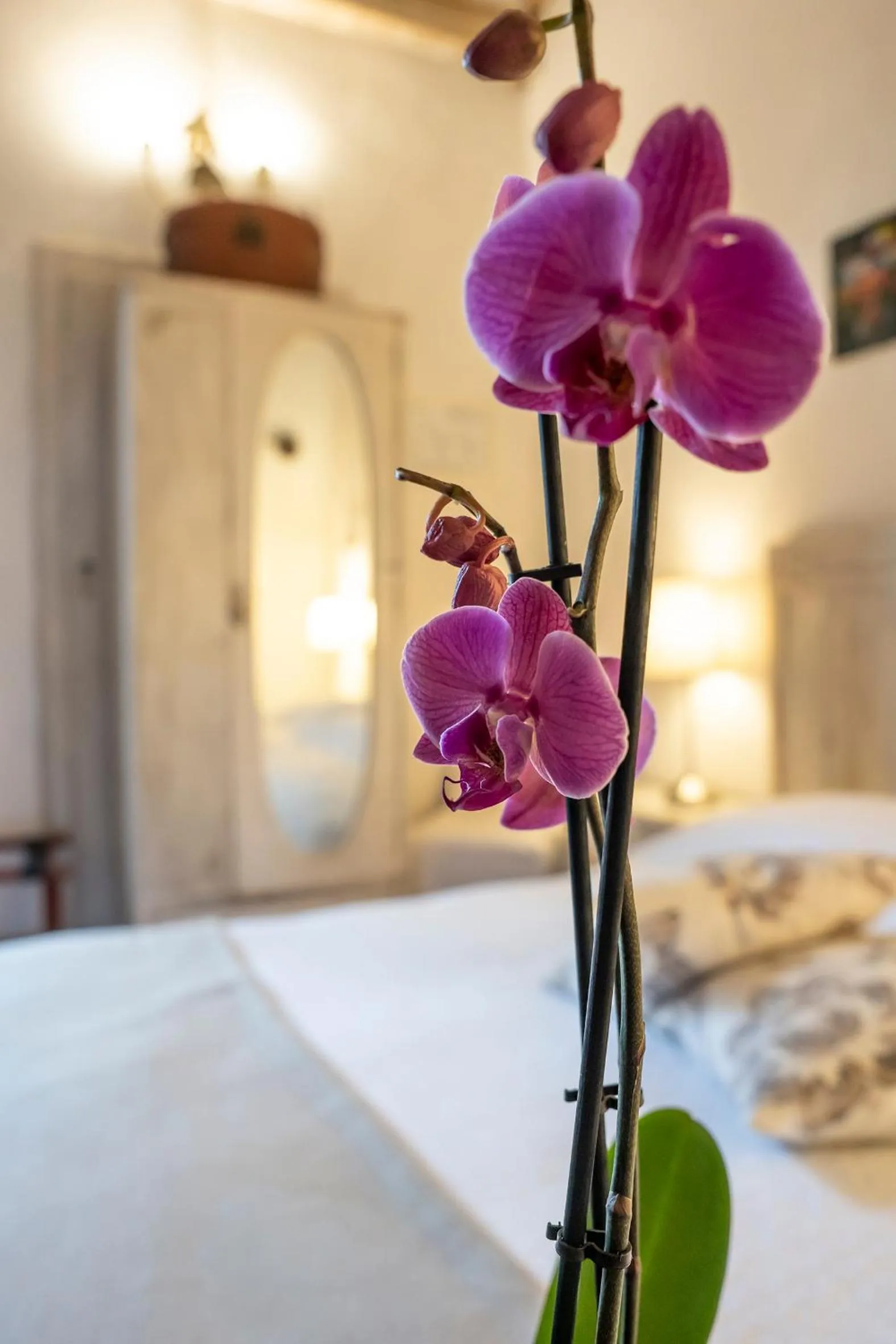 Decorative detail, Bed in Le Terrazze Del Chianti b&b Residenza d'Epoca e di Charme