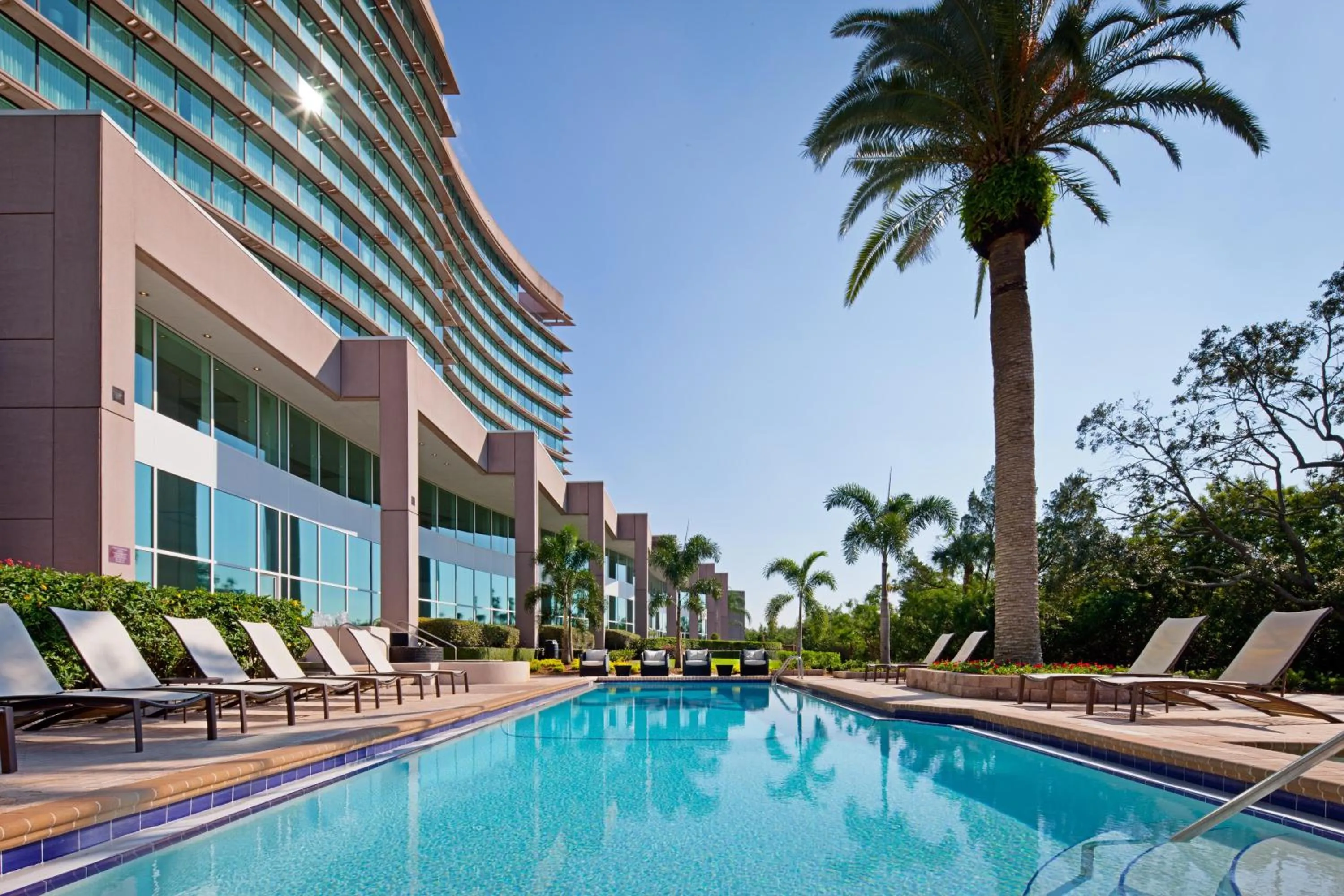 Swimming pool in Grand Hyatt Tampa Bay