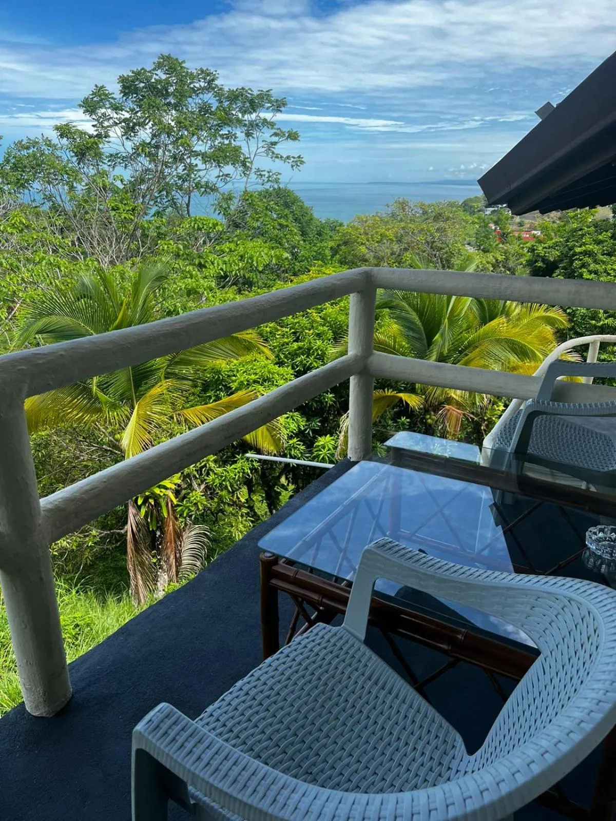 Natural landscape in Hotel La Colina