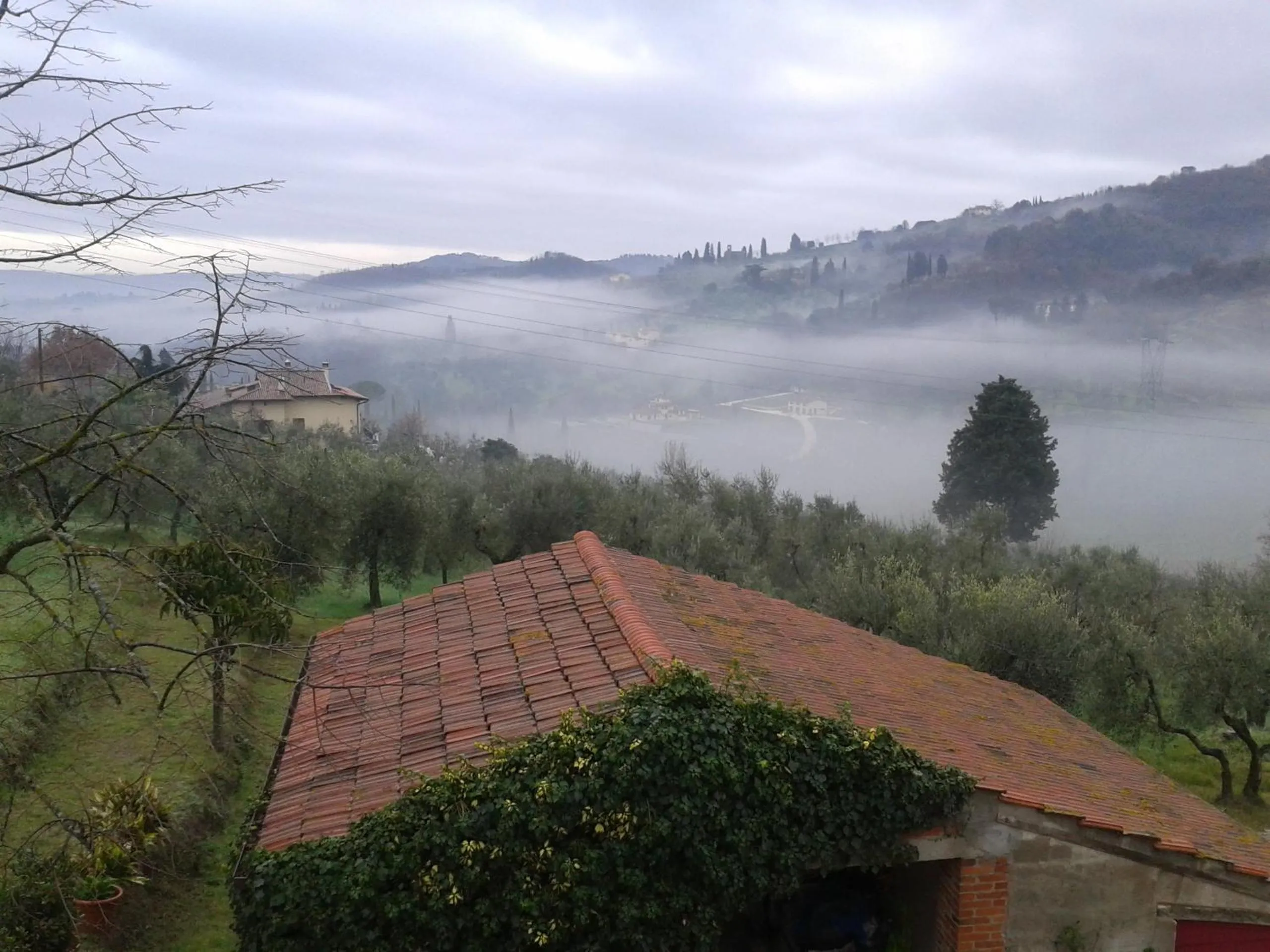 Garden view in podere Sanlorenzo