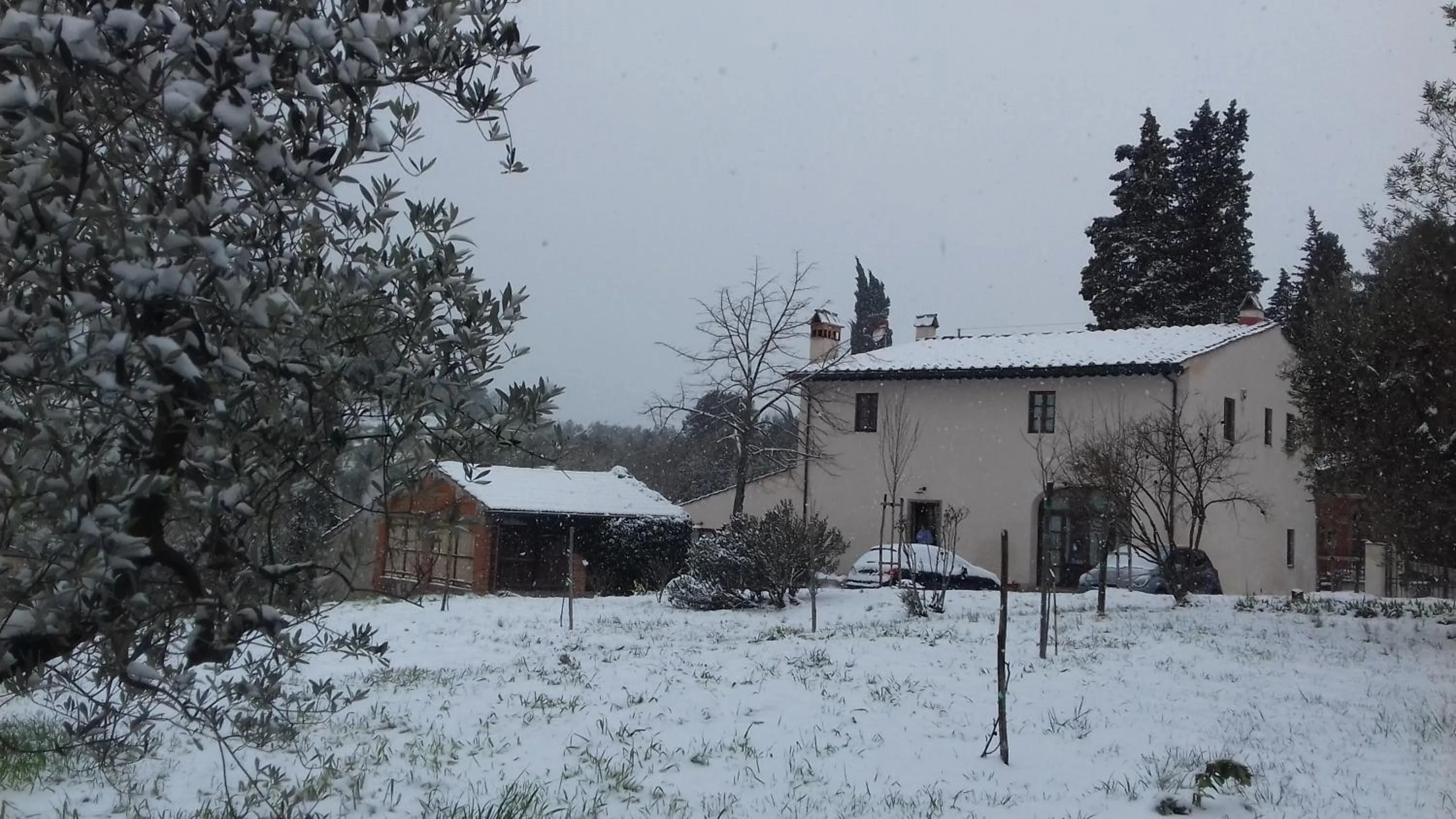 Winter in podere Sanlorenzo