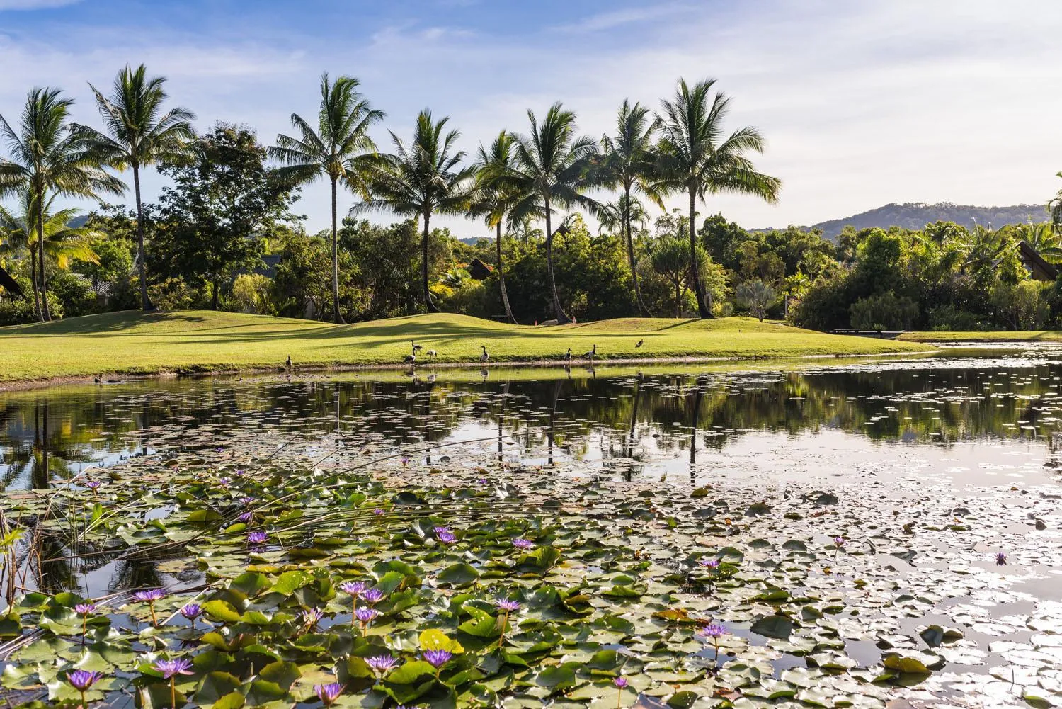 Garden in Niramaya Villas and Spa