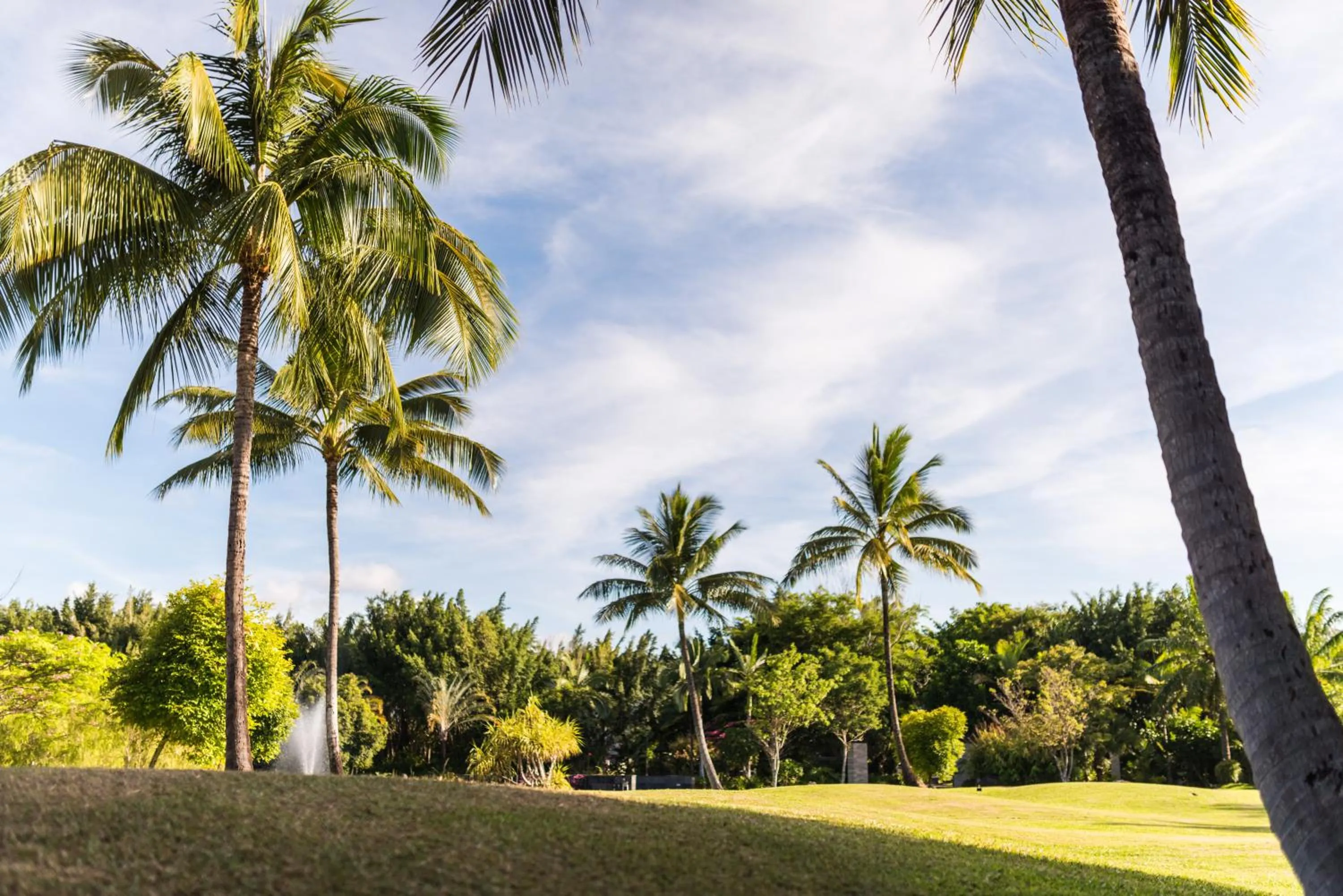 Garden in Niramaya Villas and Spa