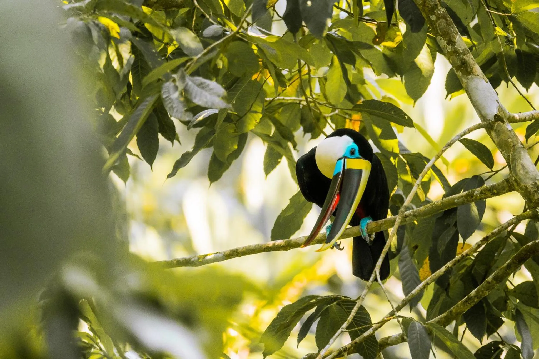 Natural landscape in Enai